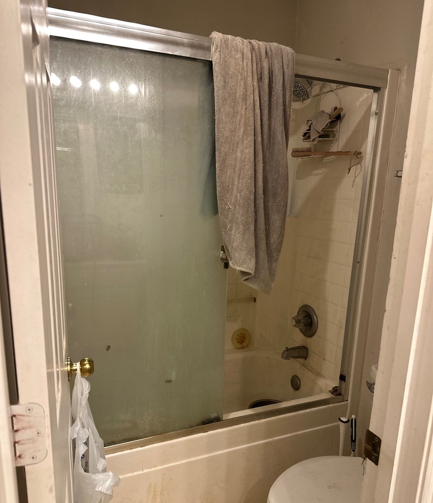 Before Bath Remodel