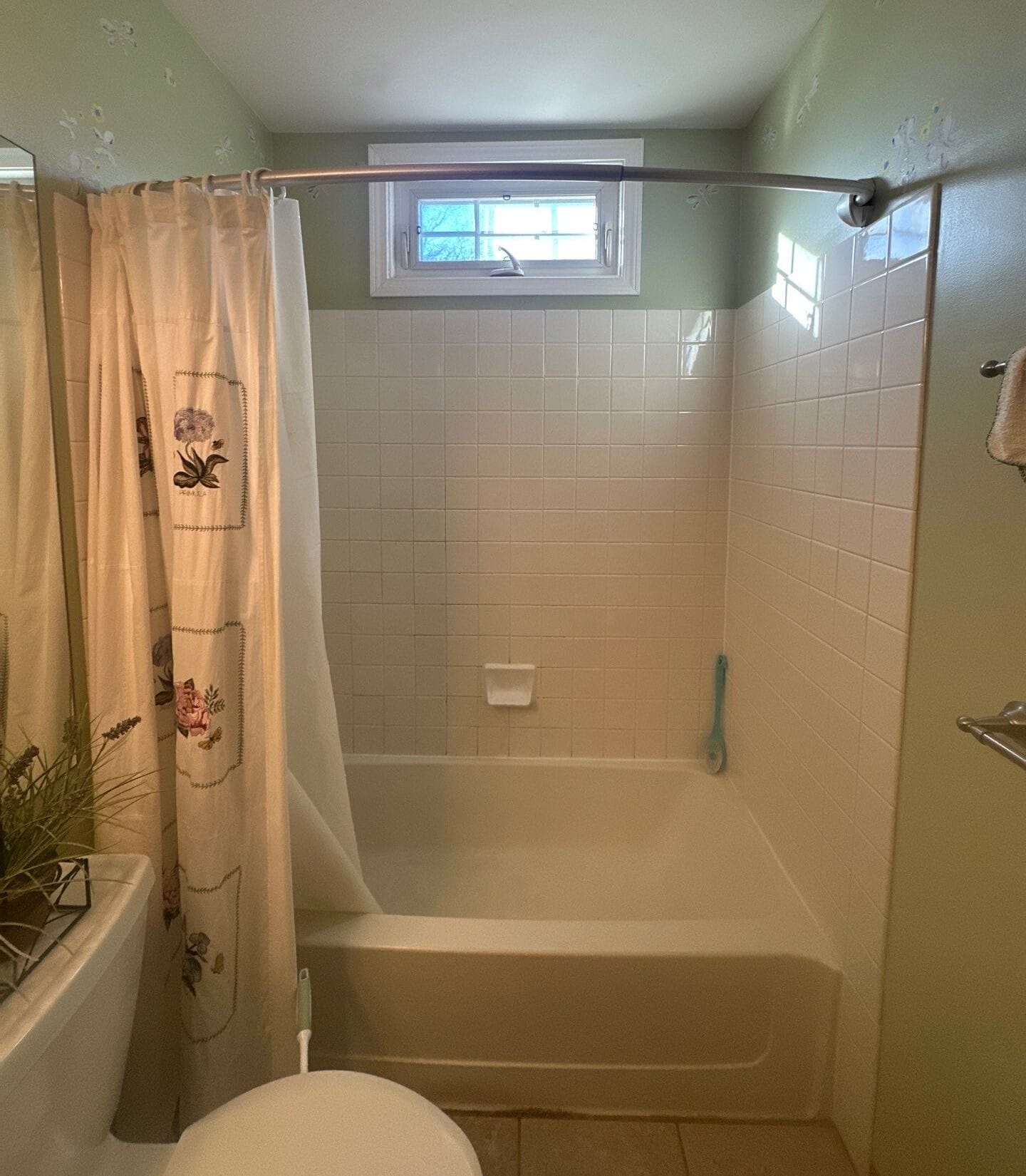 Before Bath Remodel