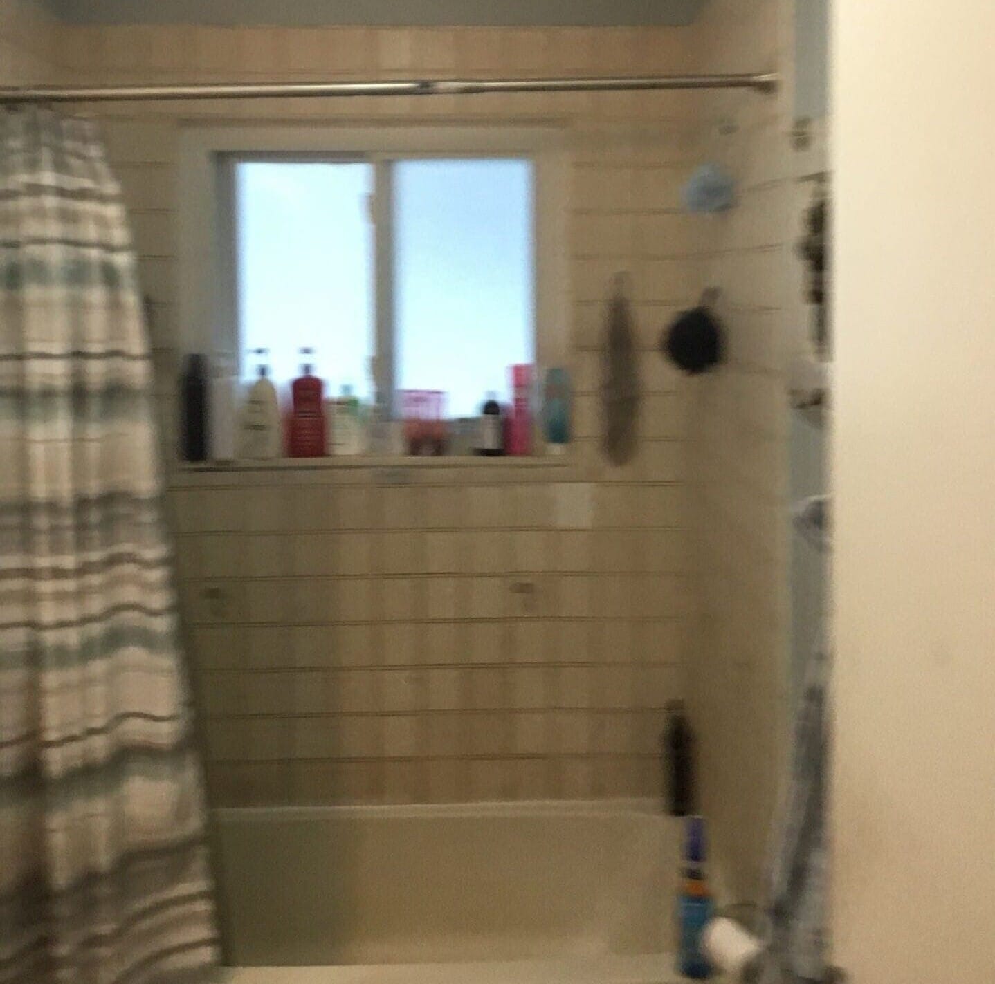 Before Bath Remodel