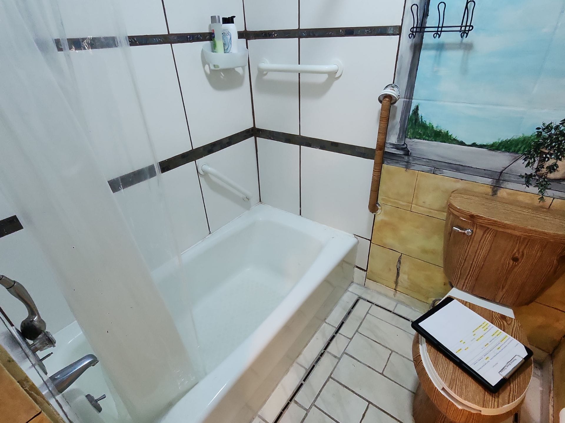 Before Bath Remodel