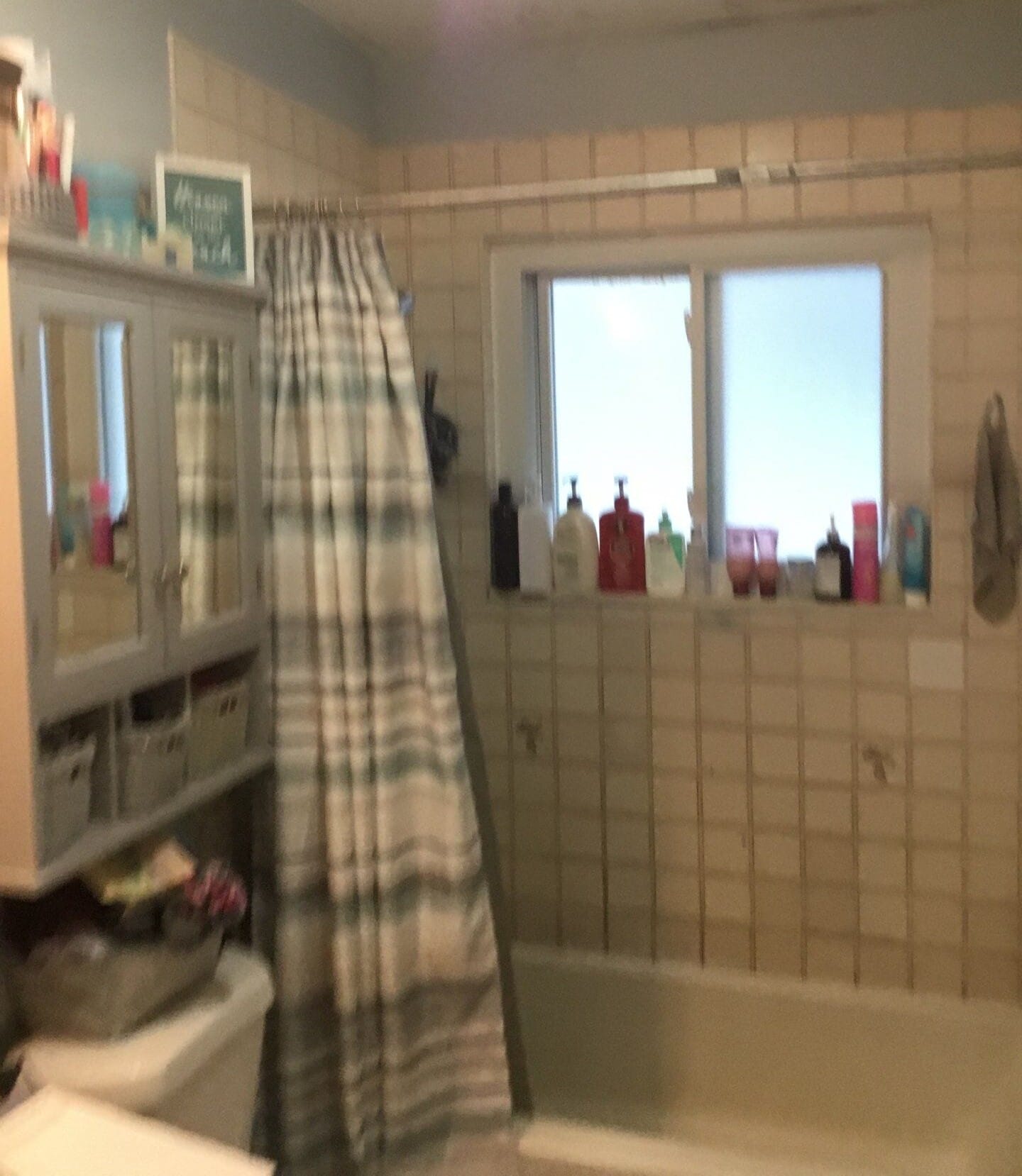 Before Bath Remodel
