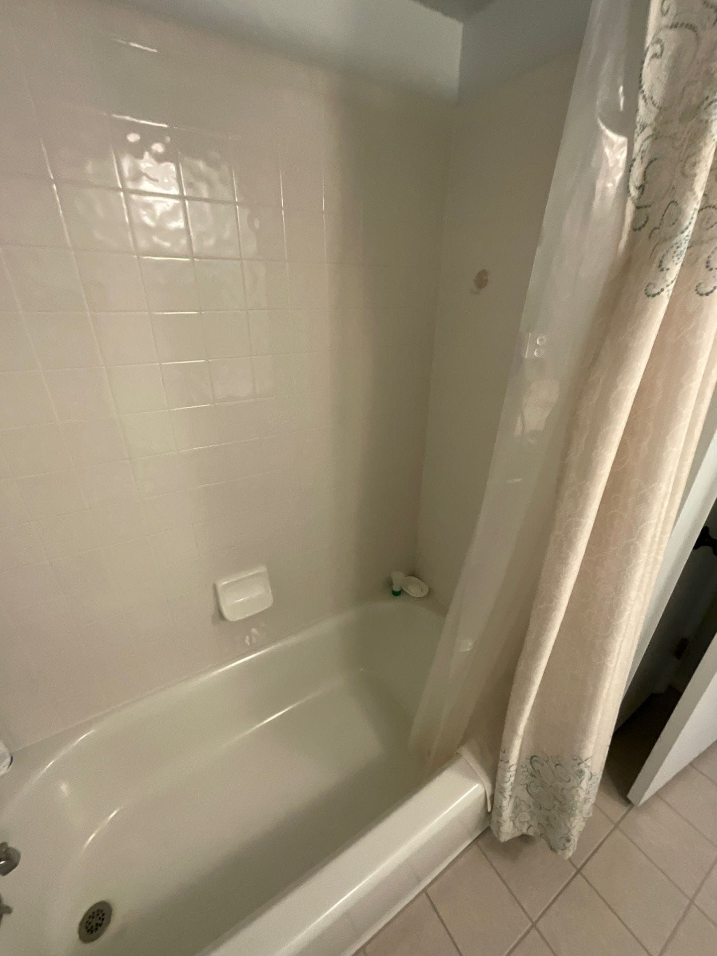 Before Bath Remodel