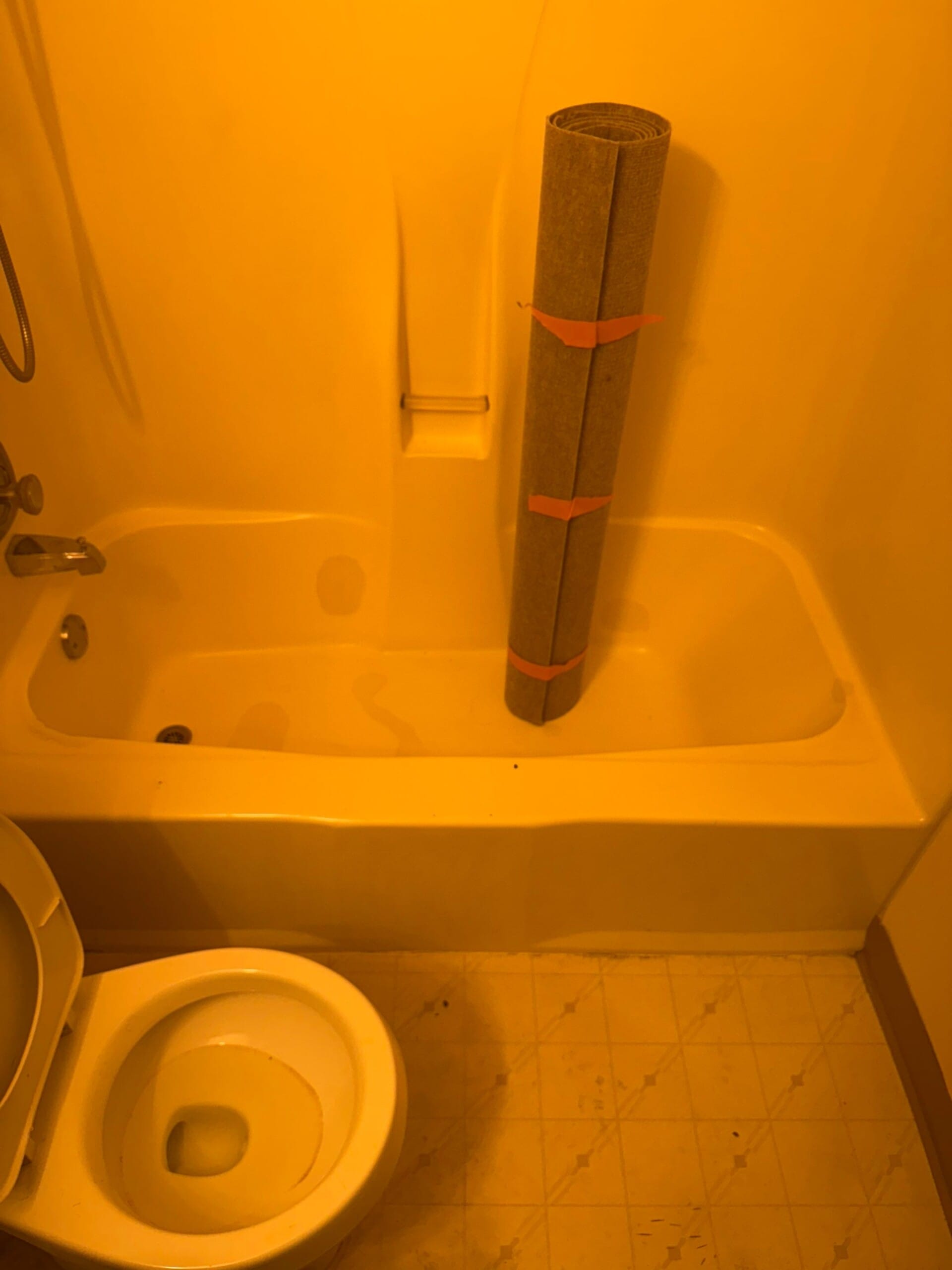 Before Bath Remodel