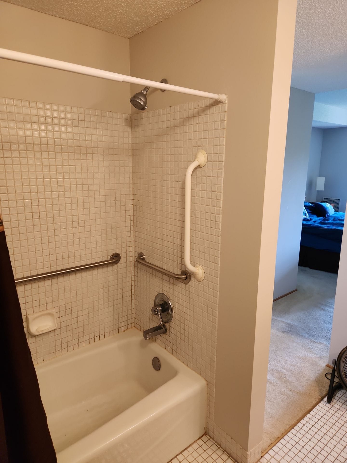 Before Bath Remodel
