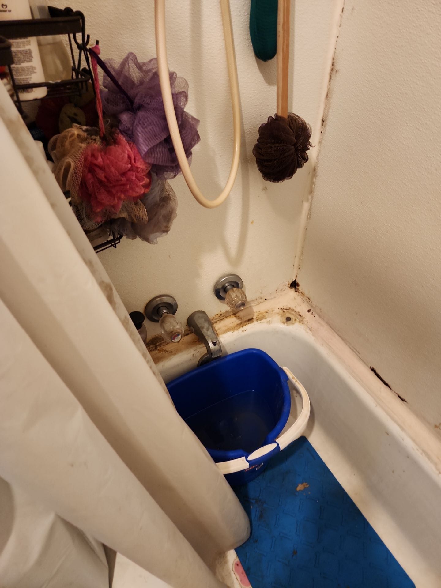 Before Bath Remodel