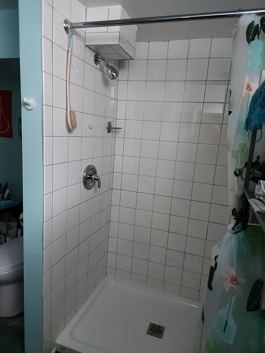 Before Bath Remodel