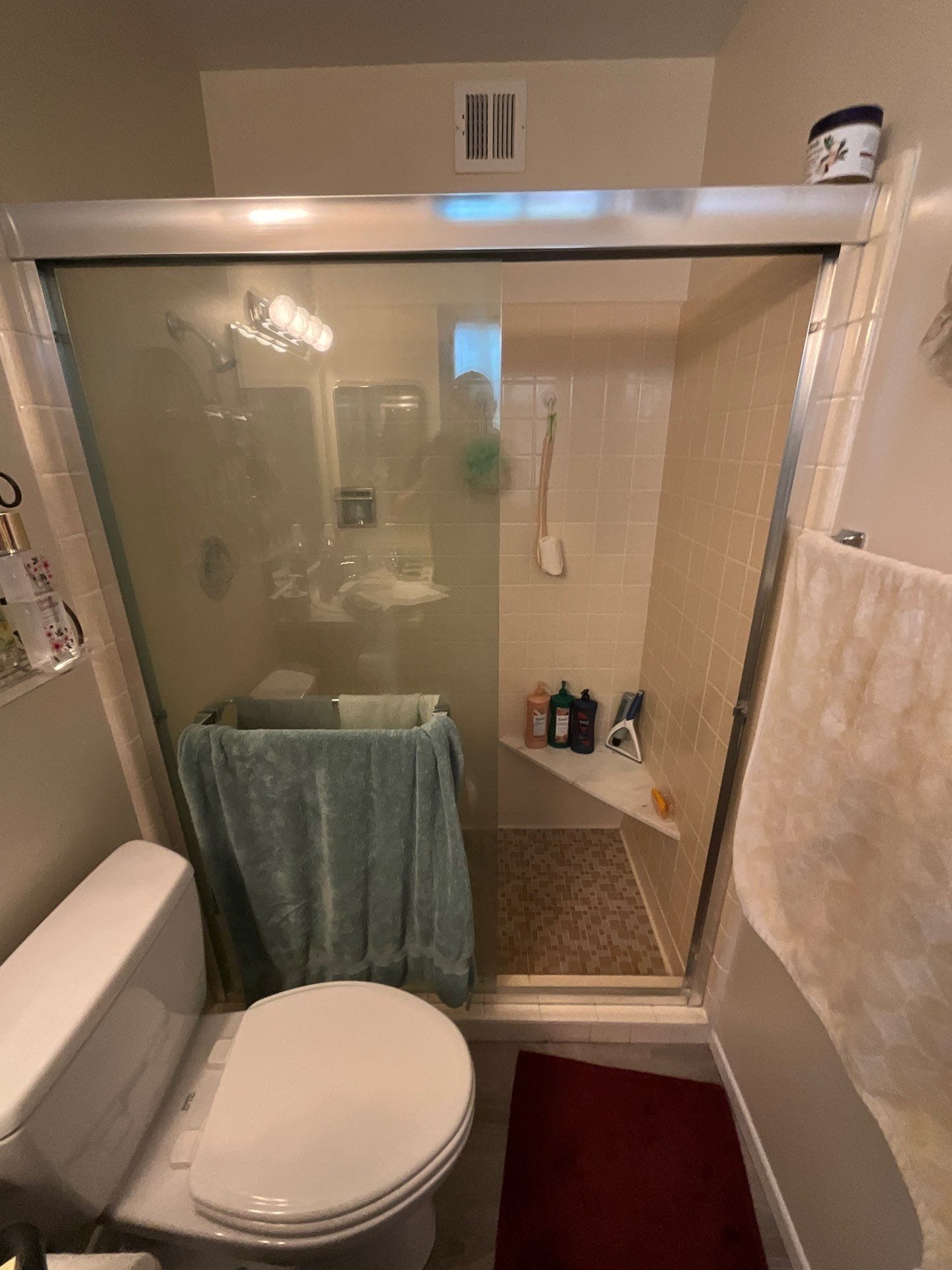 Before Bath Remodel