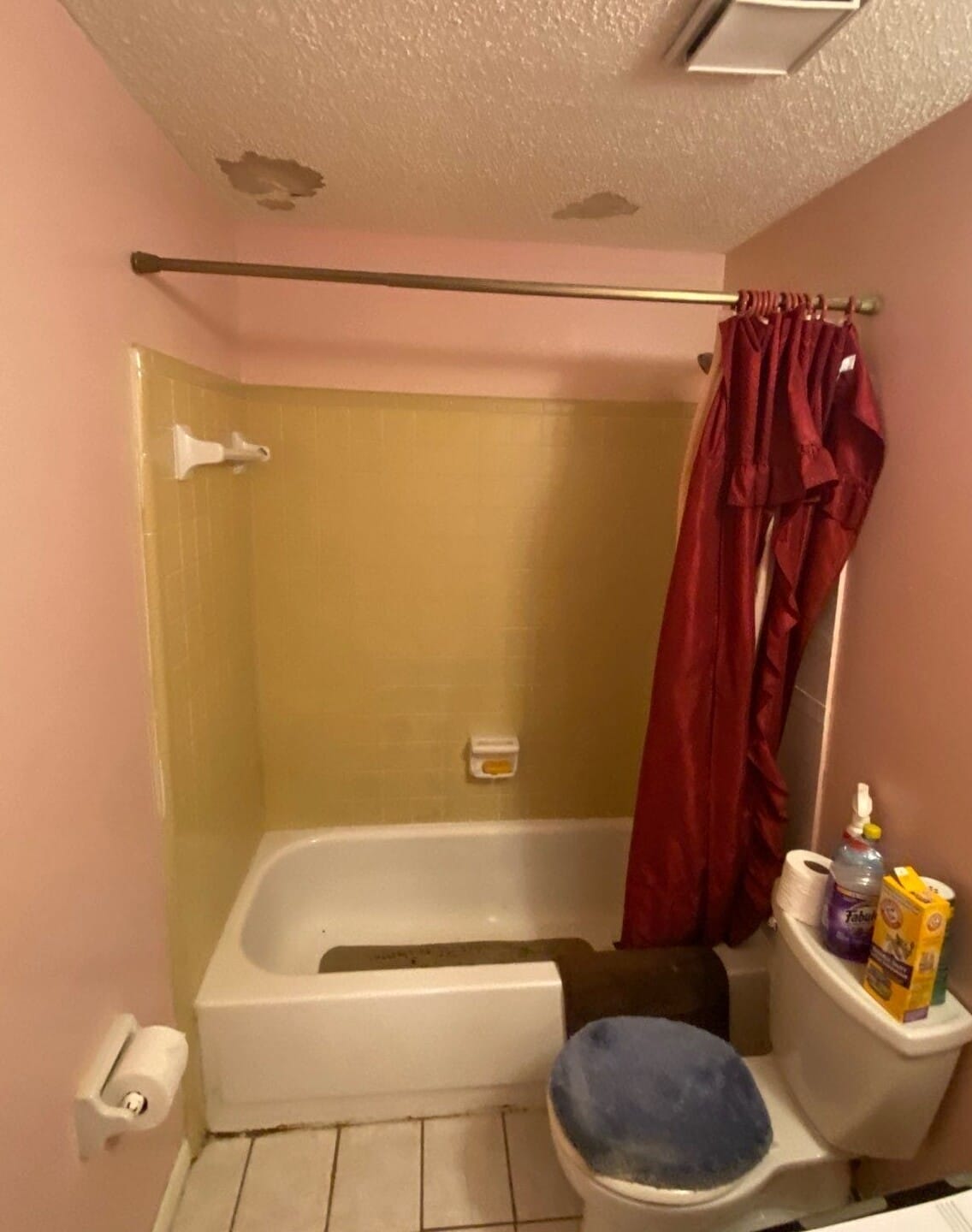 Before Bath Remodel