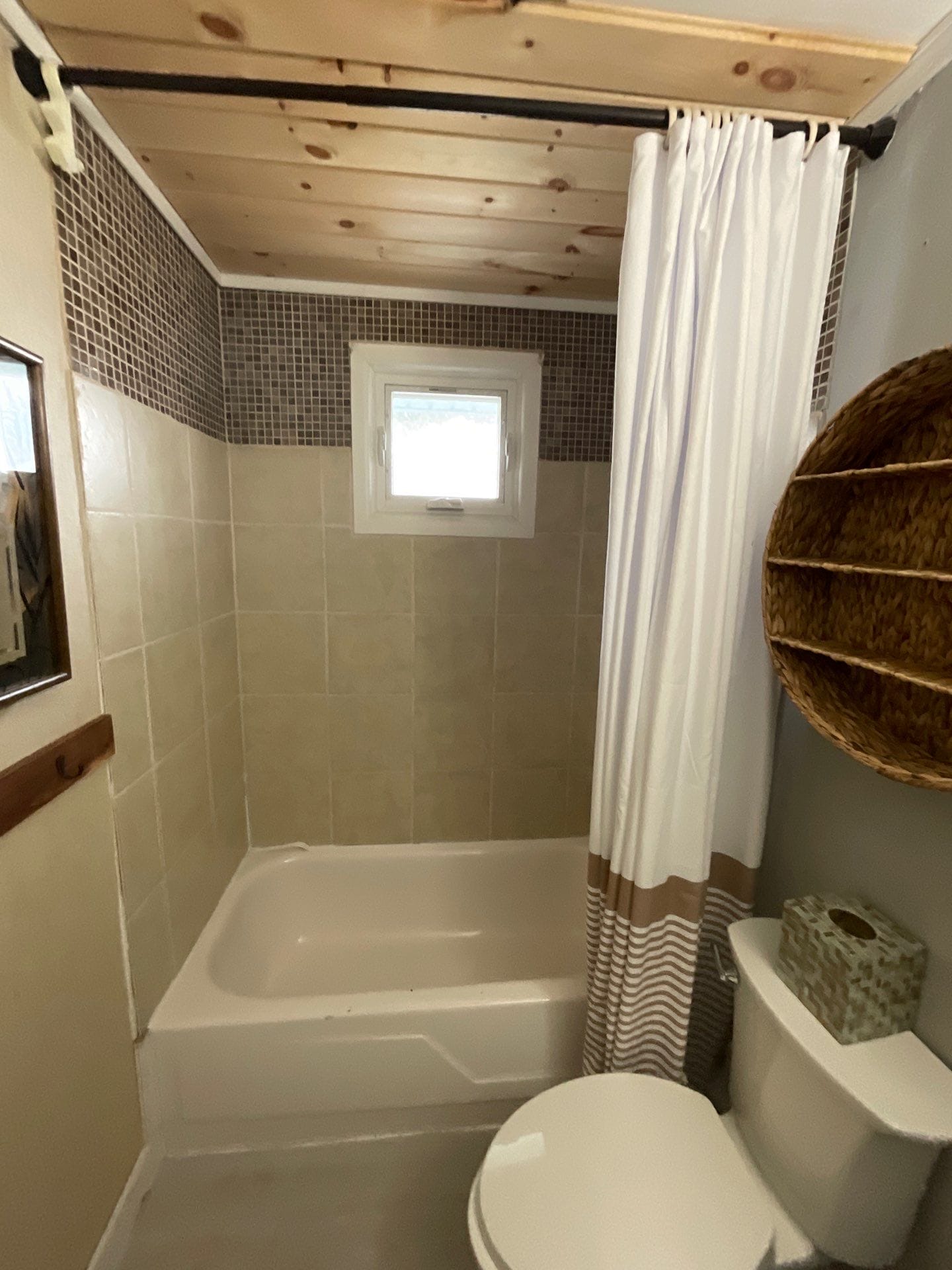 Before Bath Remodel