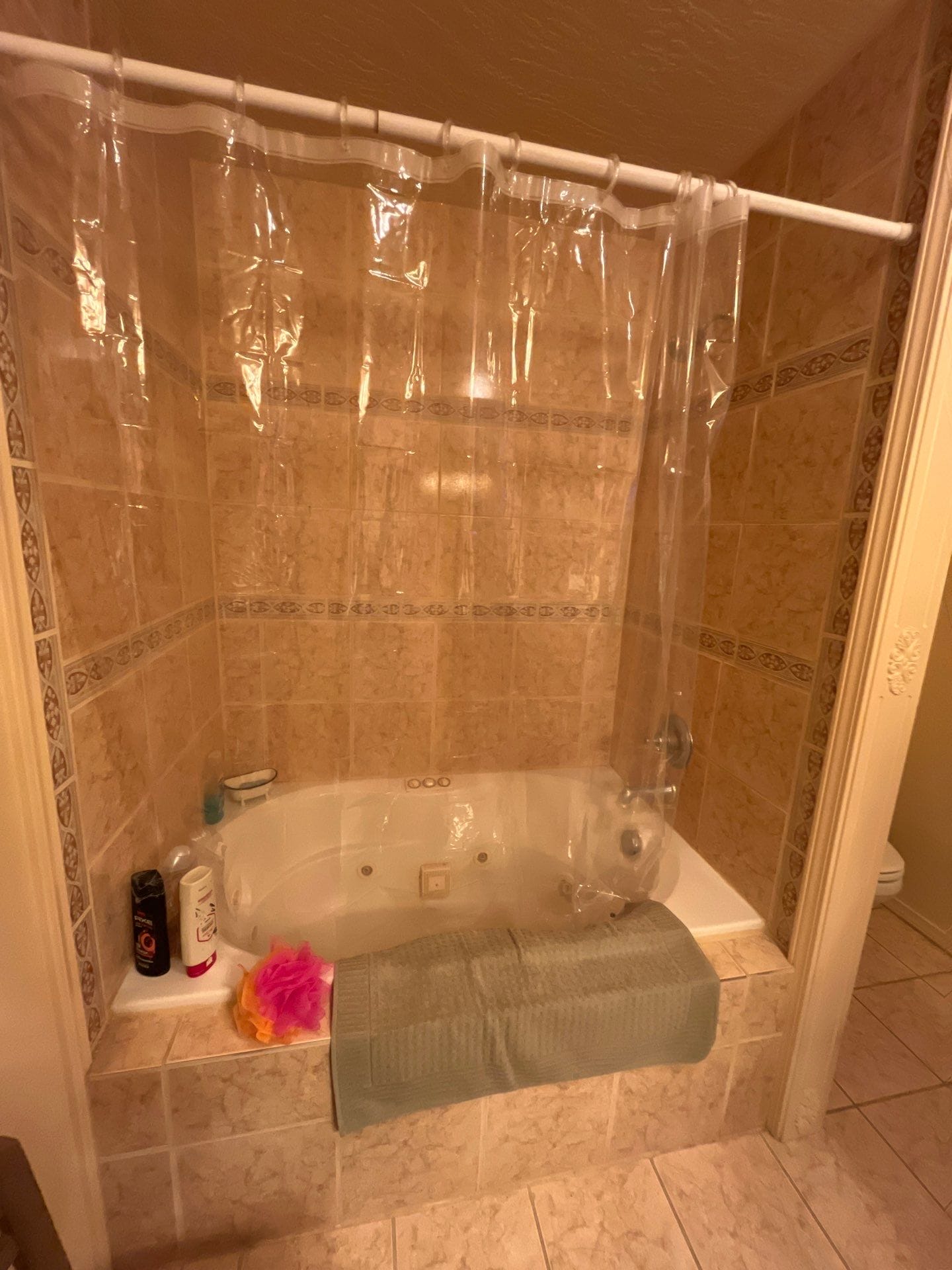 Before Bath Remodel