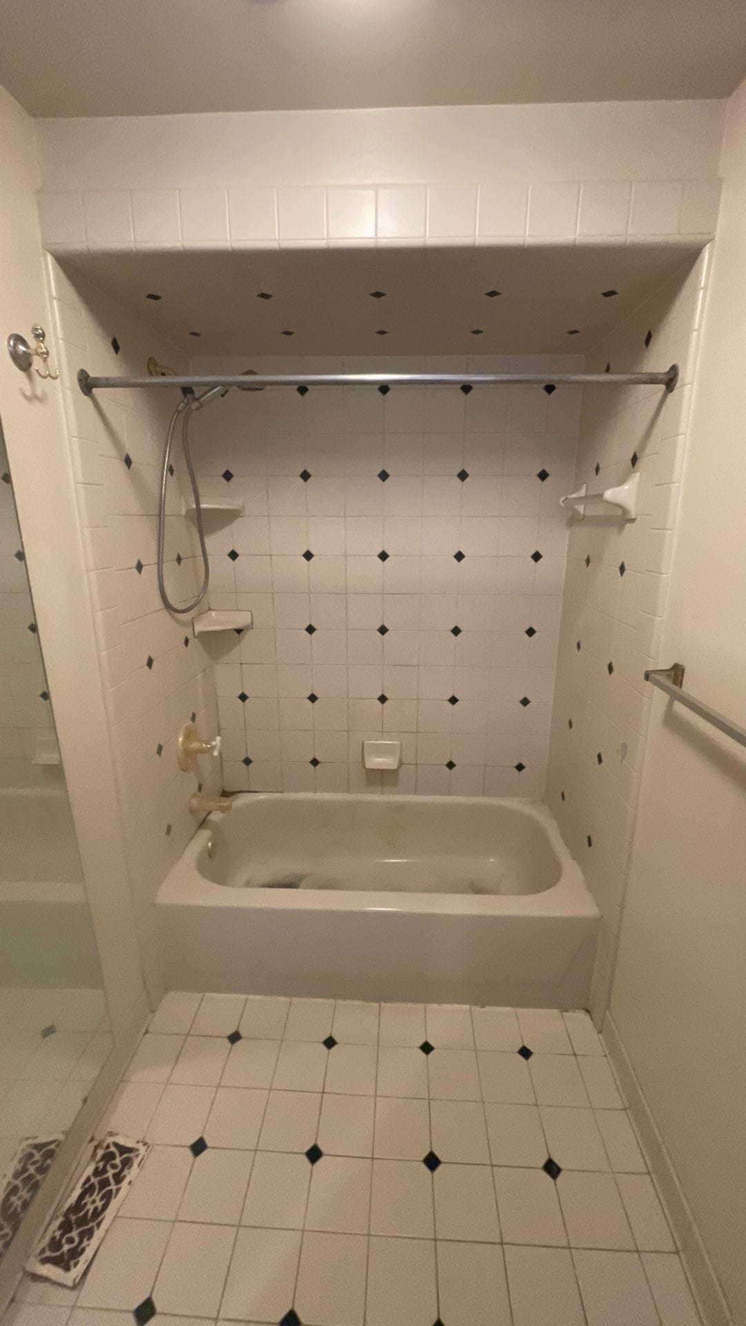 Before Bath Remodel