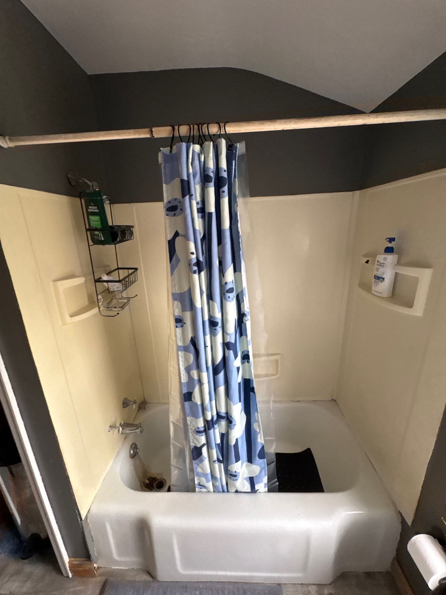 Before Bath Remodel