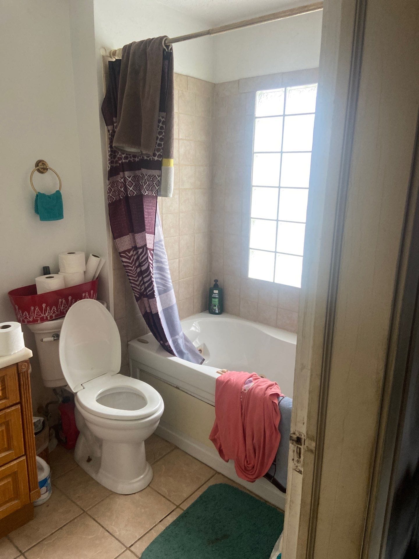 Before Bath Remodel