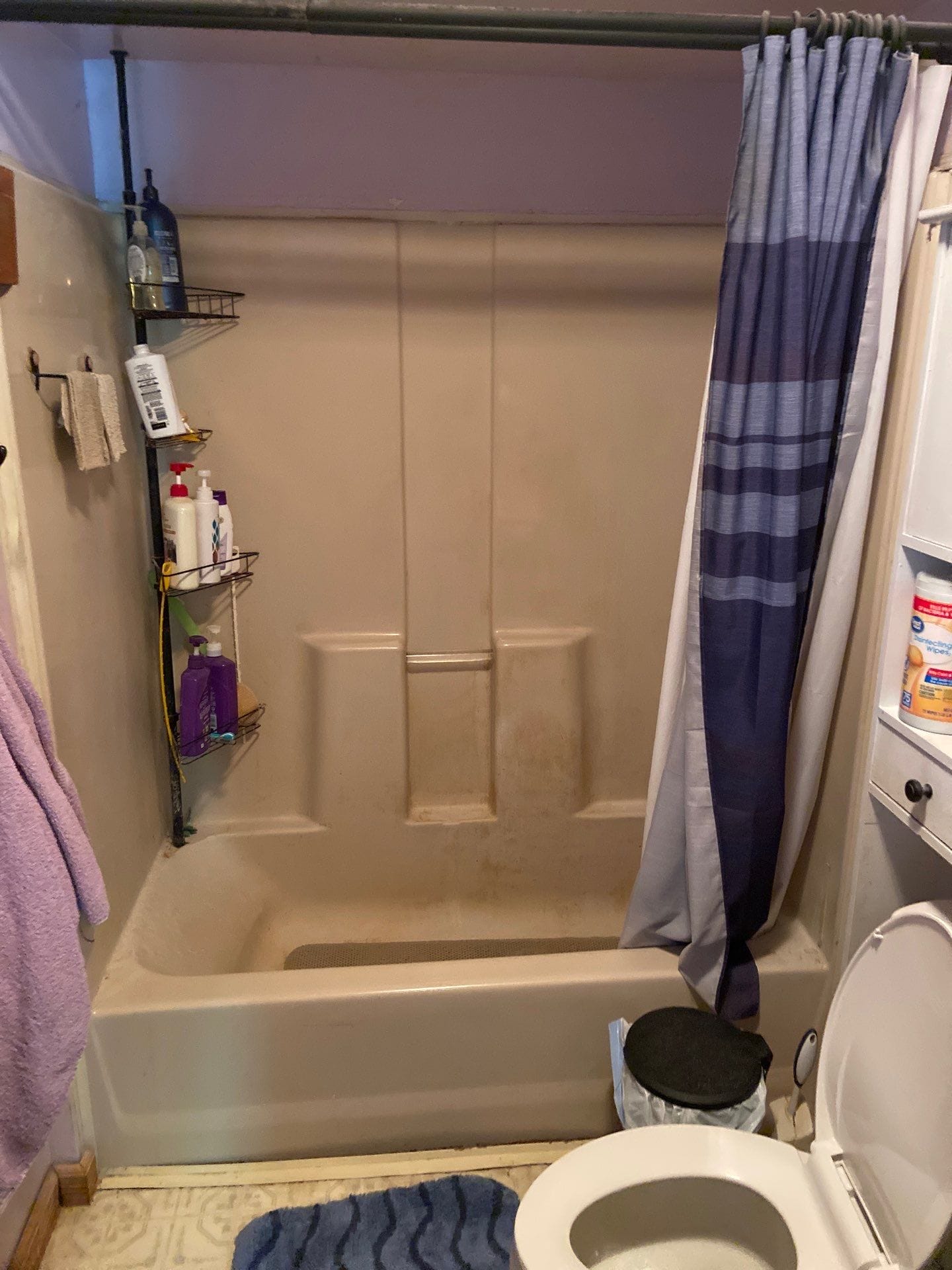 Before Bath Remodel
