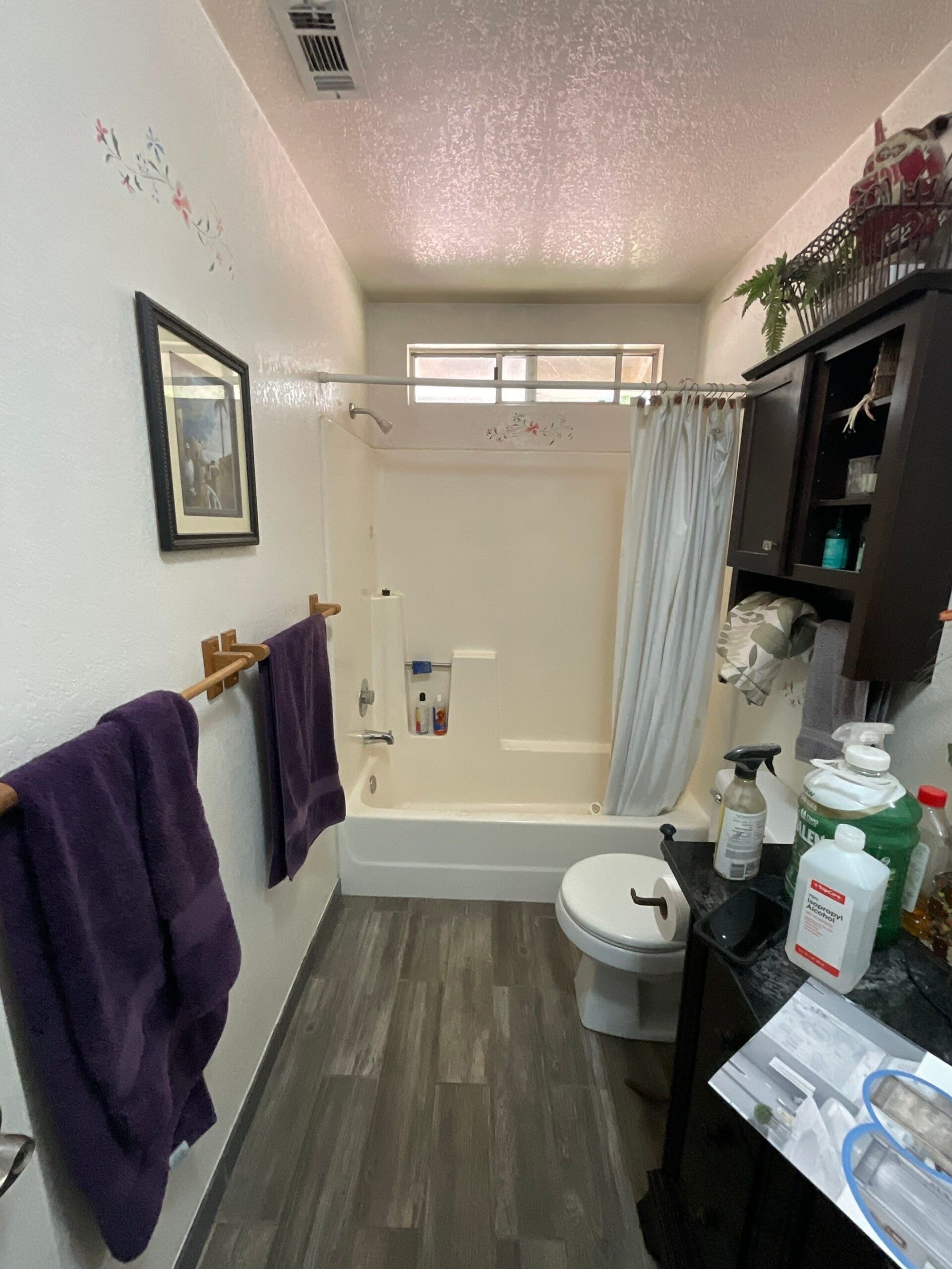 Before Bath Remodel