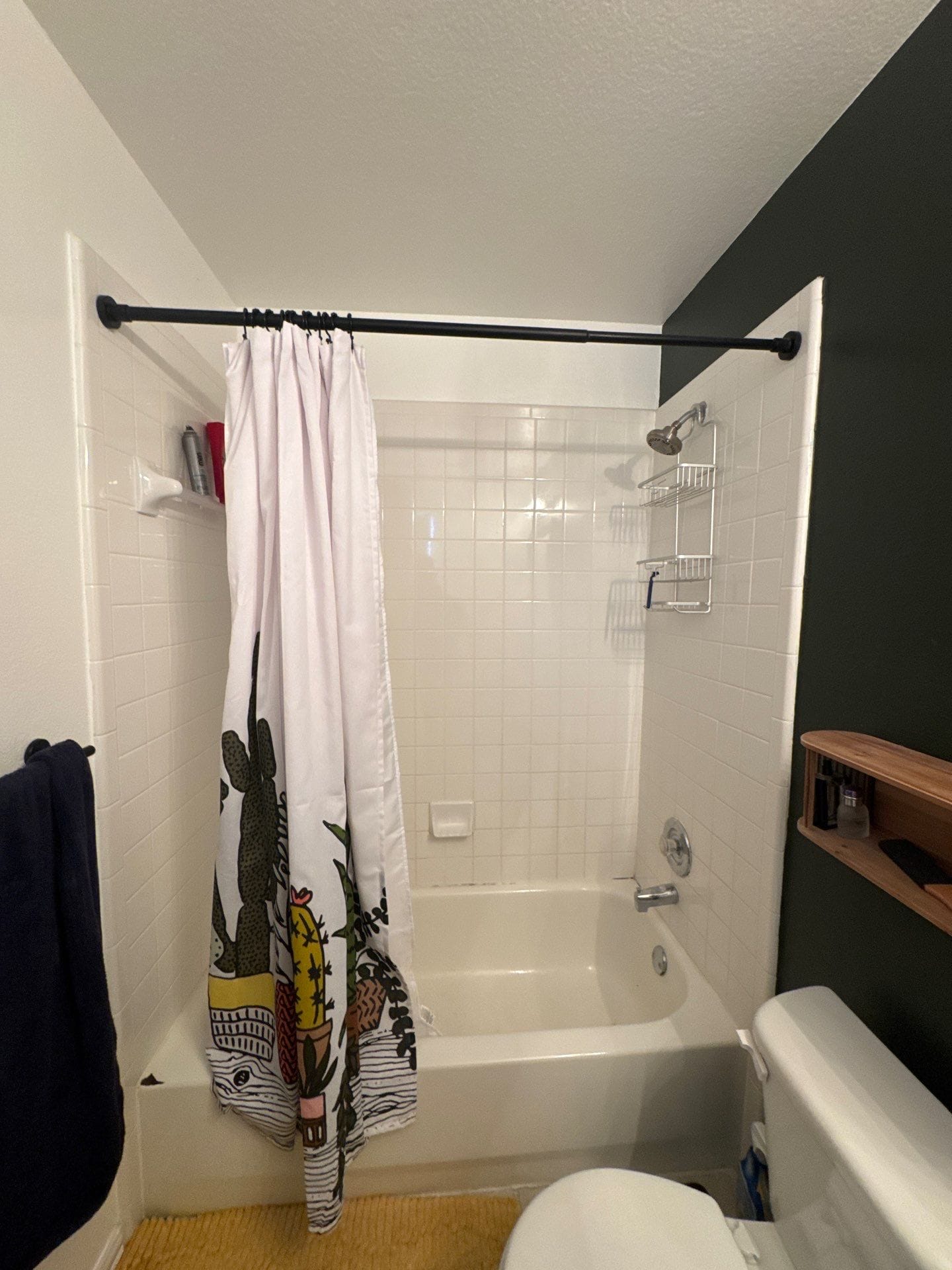 Before Bath Remodel