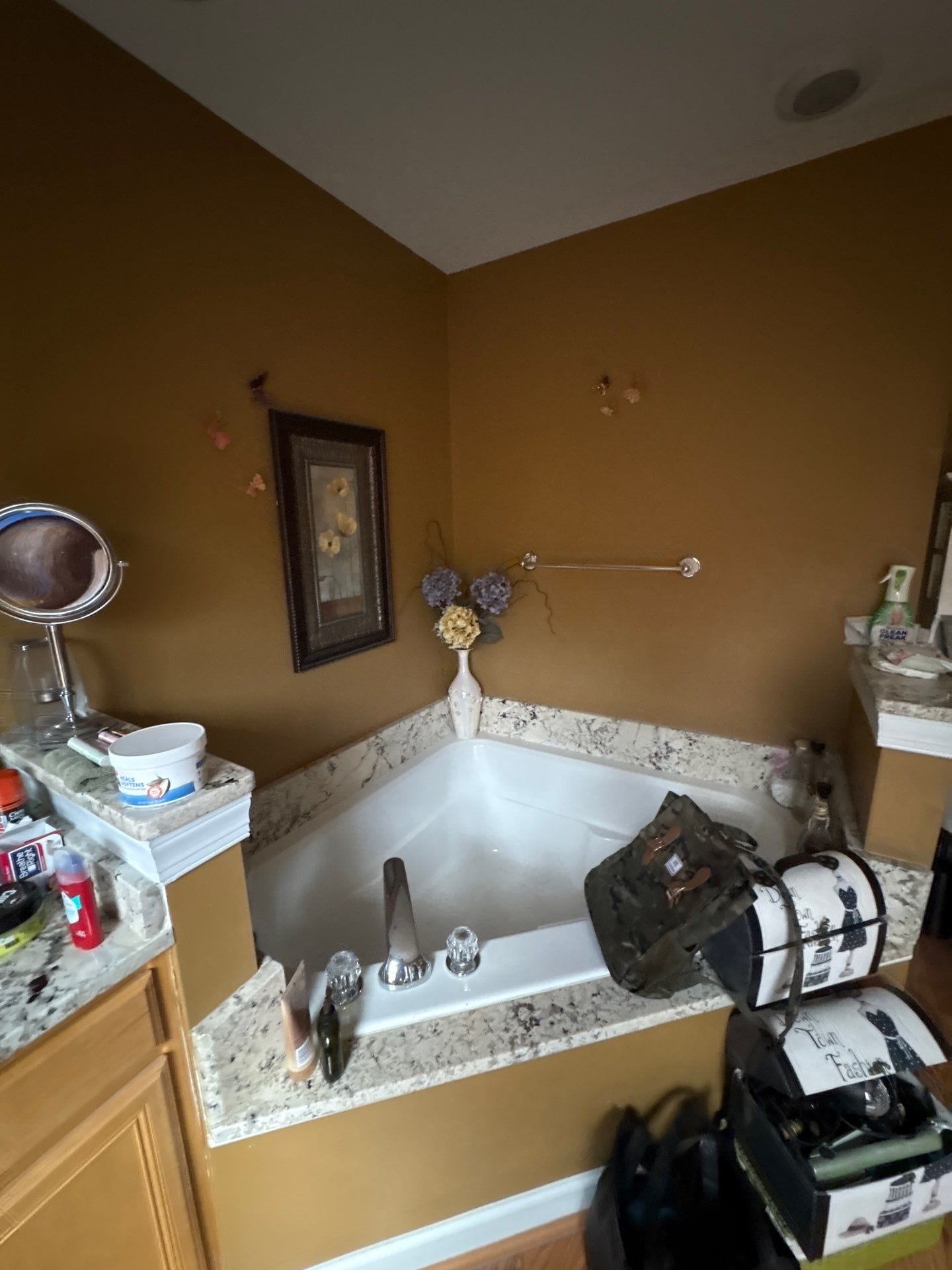 Before Bath Remodel