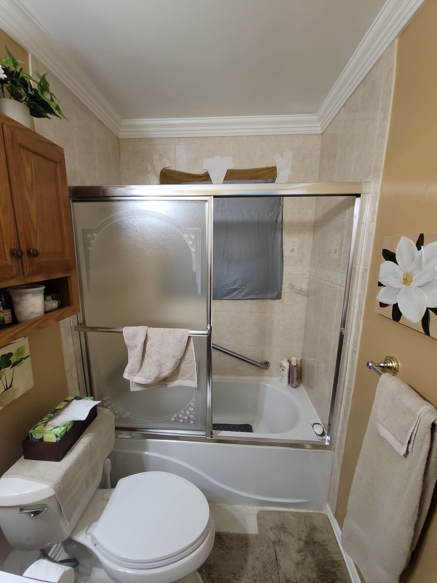Before Bath Remodel