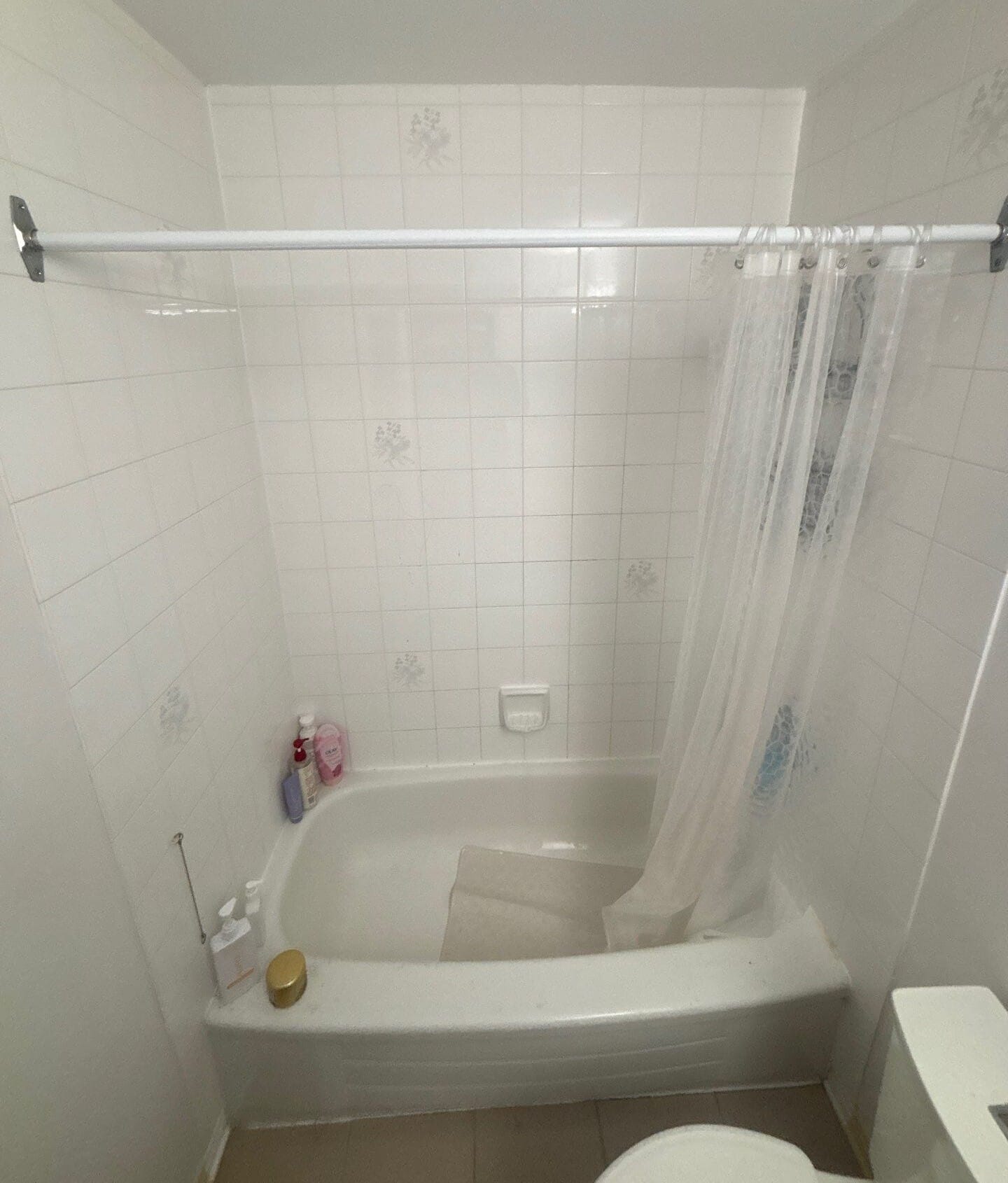 Before Bath Remodel