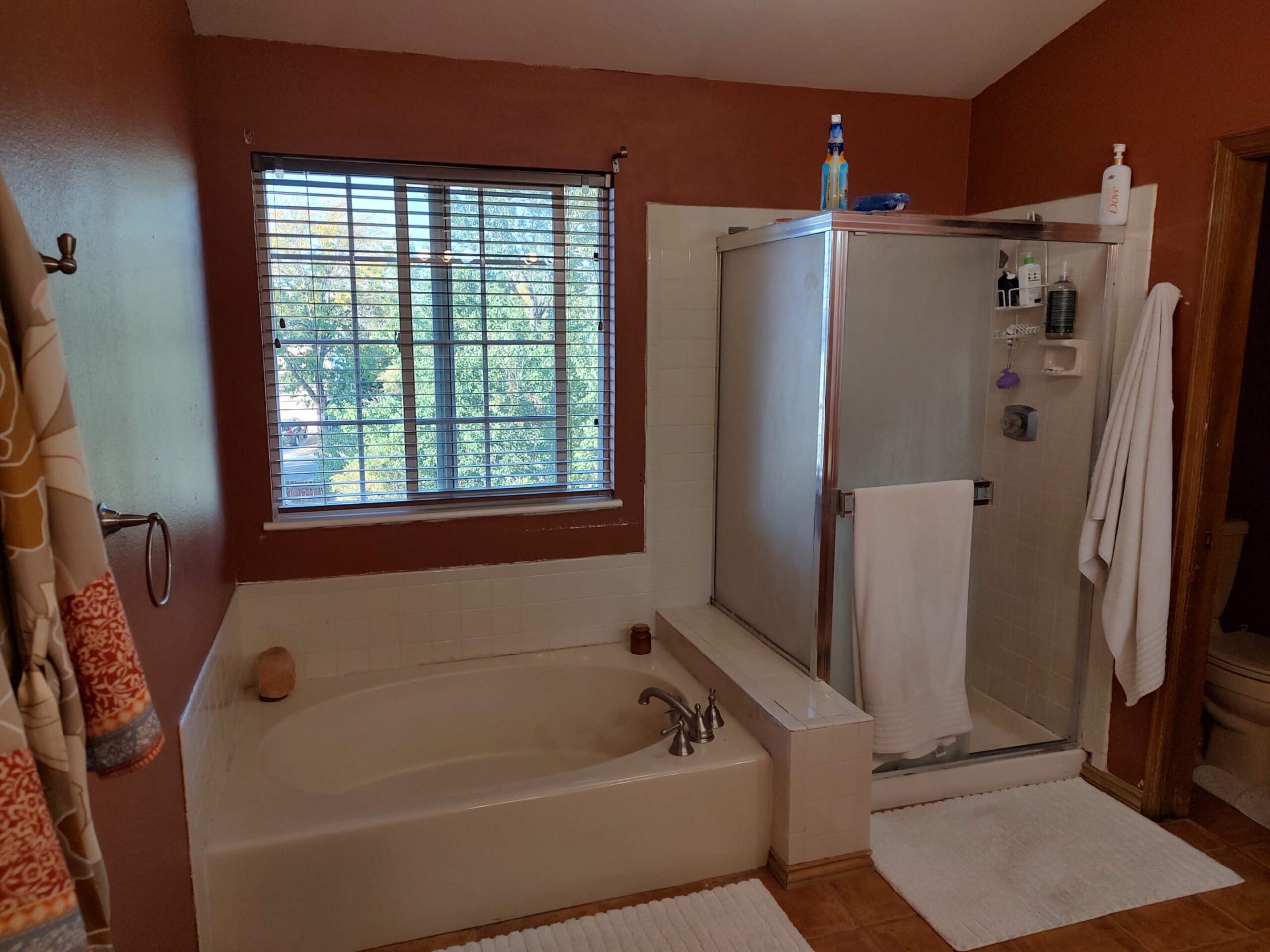 Before Bath Remodel