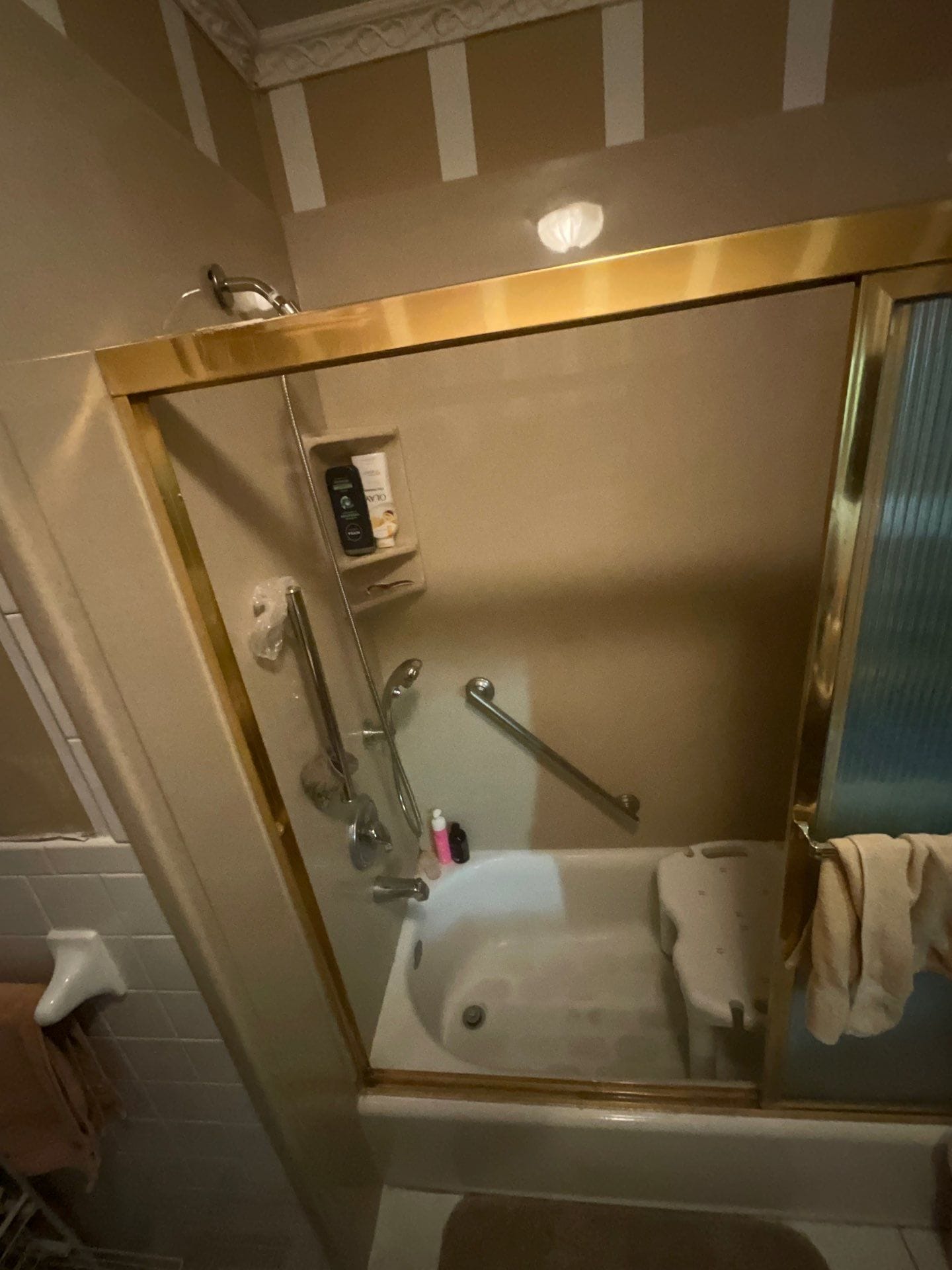 Before Bath Remodel