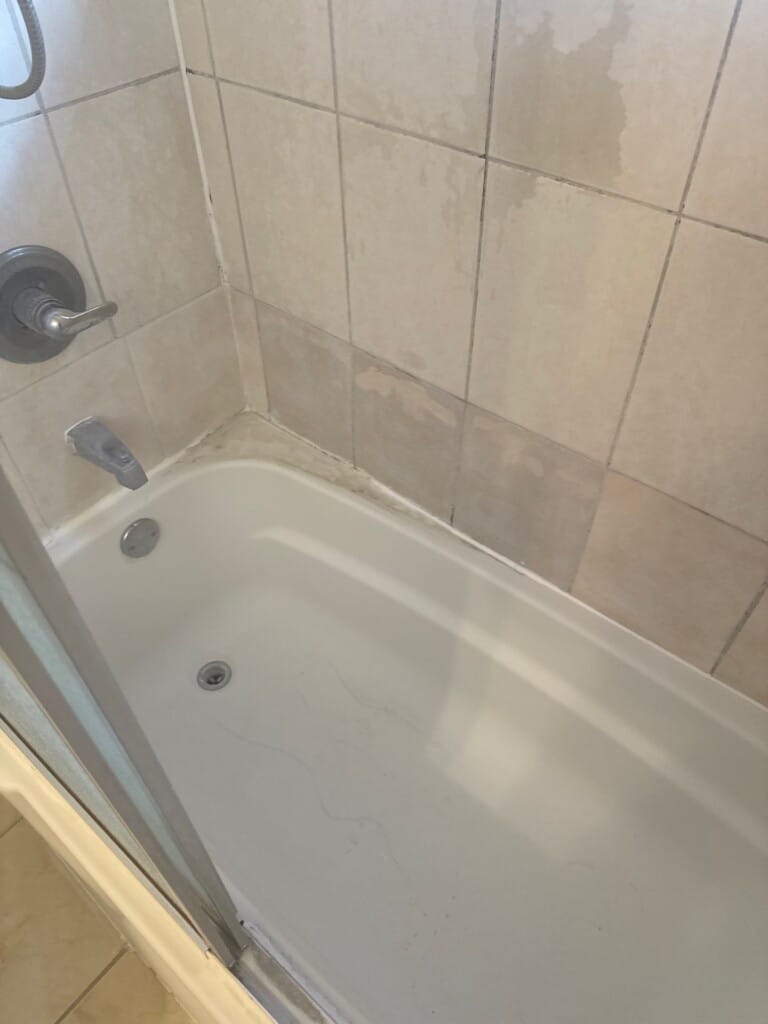Before - Tub To Shower Conversion, SW 302 Street, Homestead, FL 33033