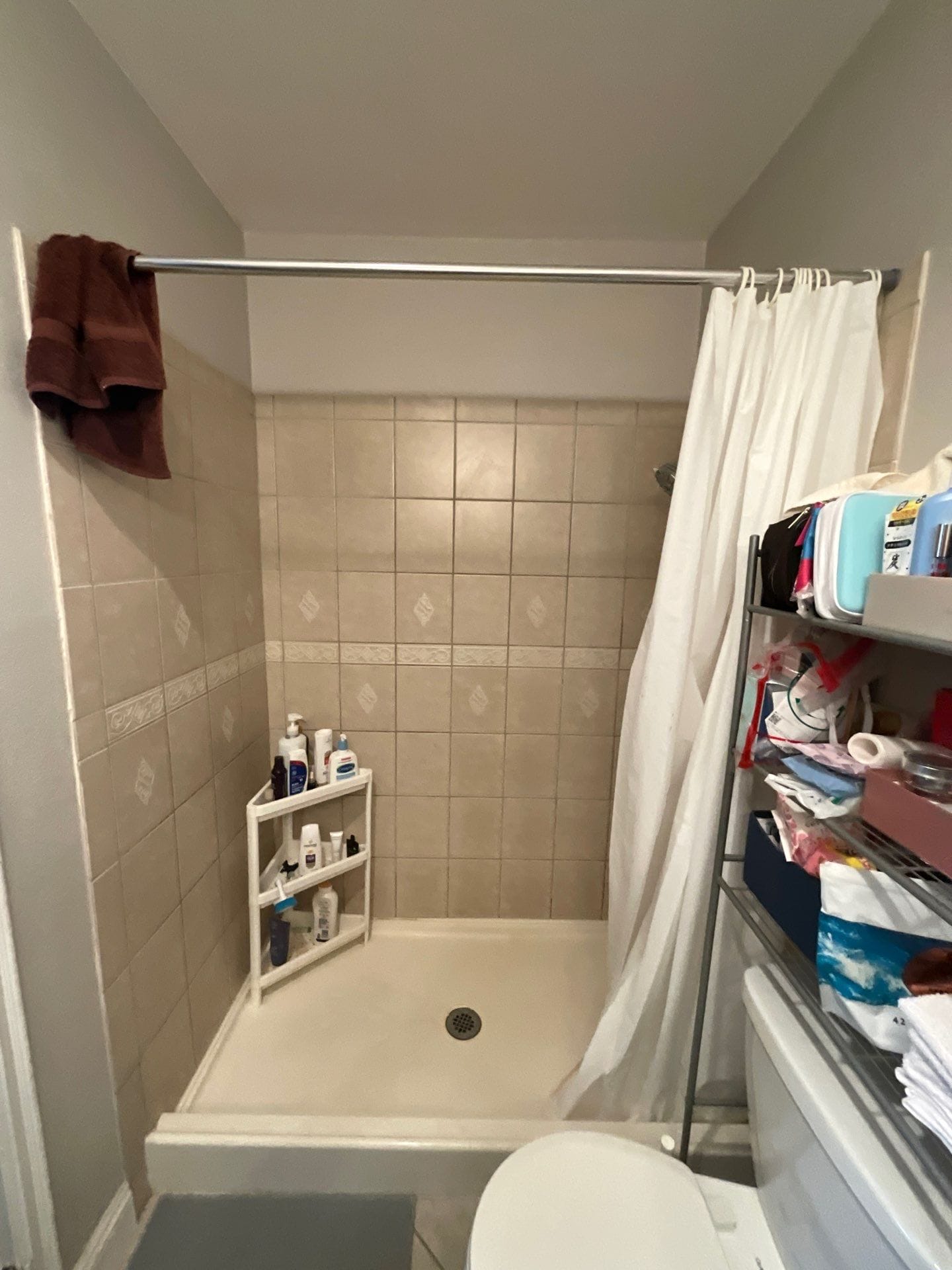 Before Bath Remodel