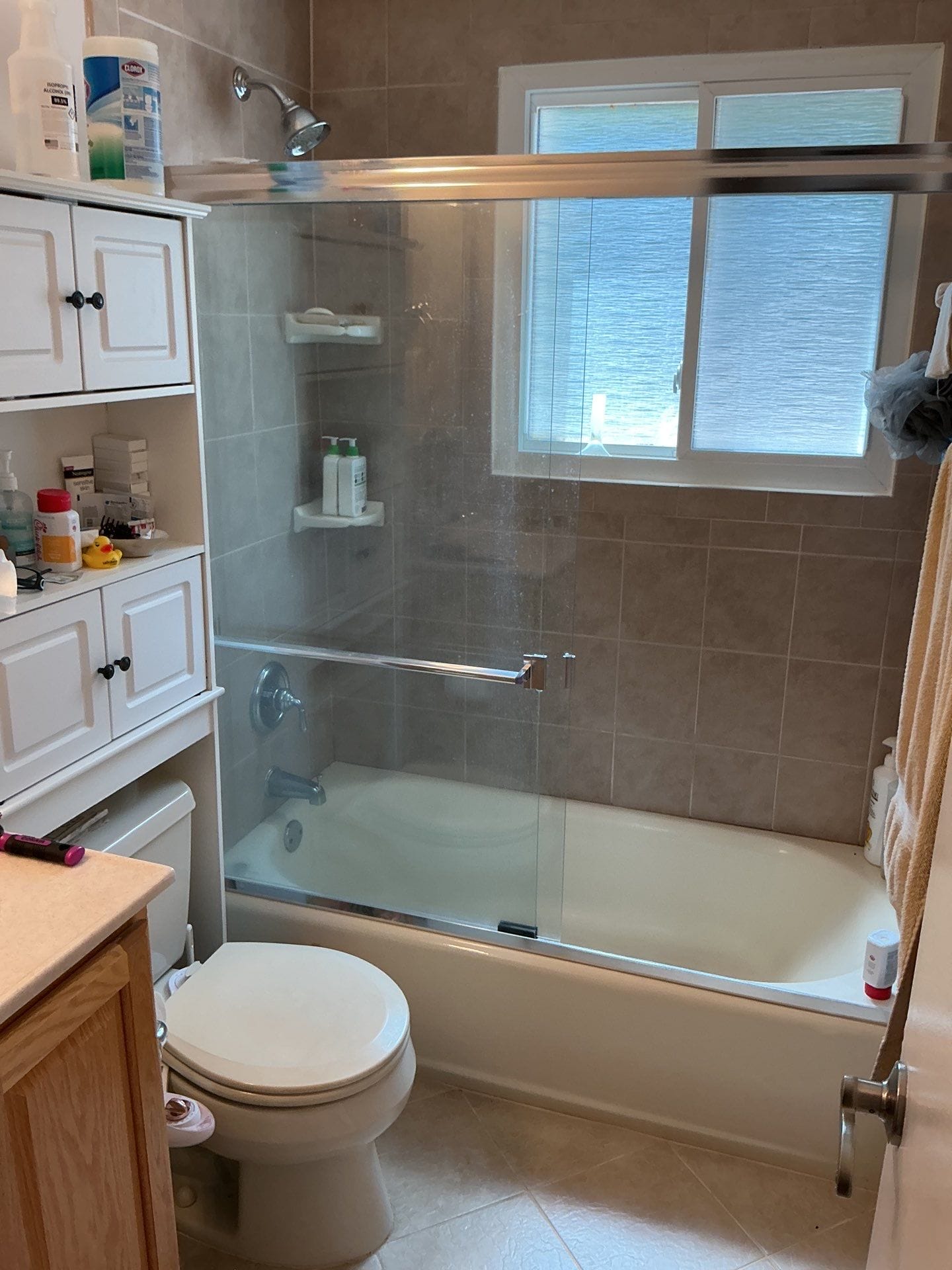 Before Bath Remodel