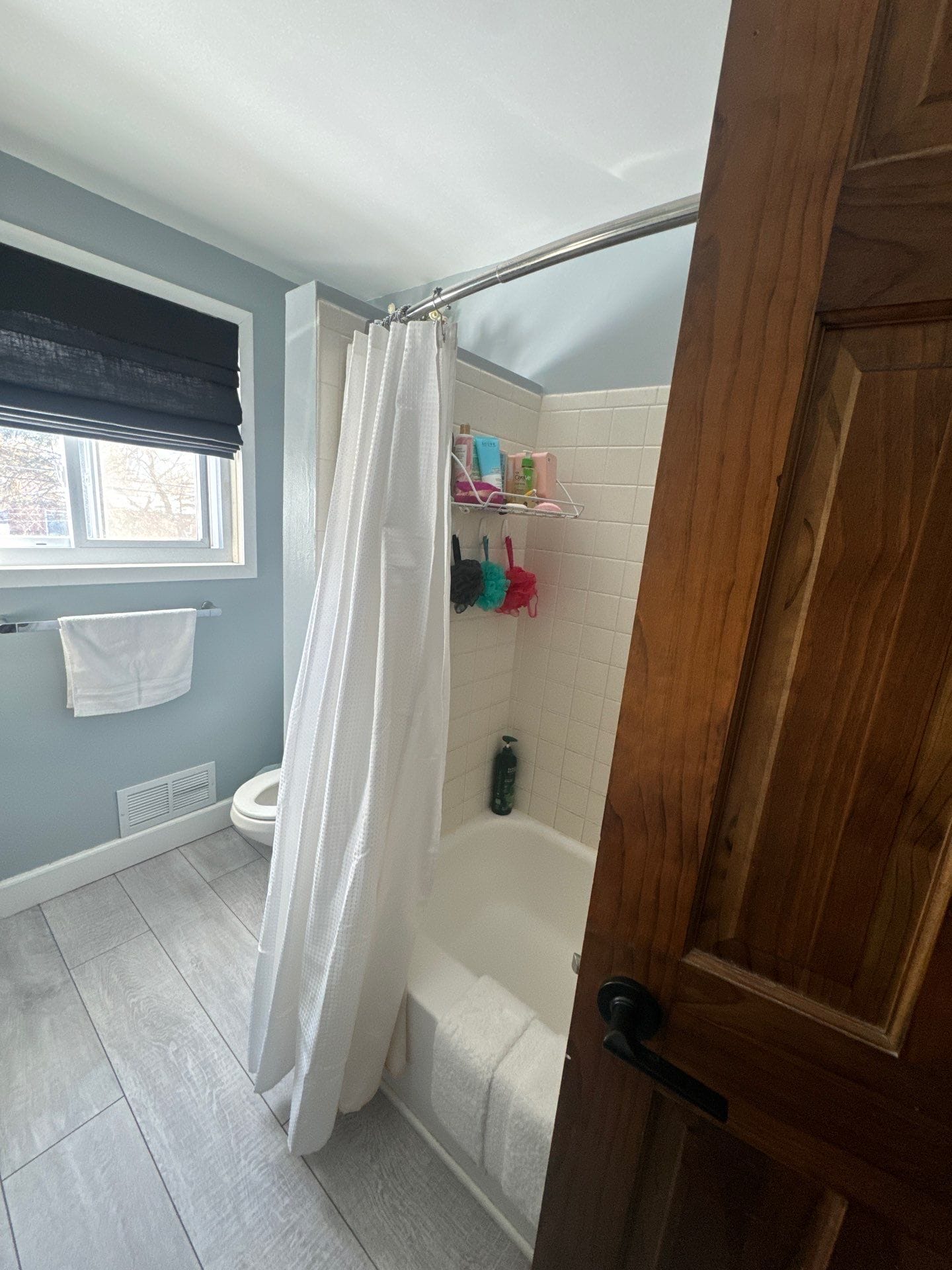 Before Bath Remodel