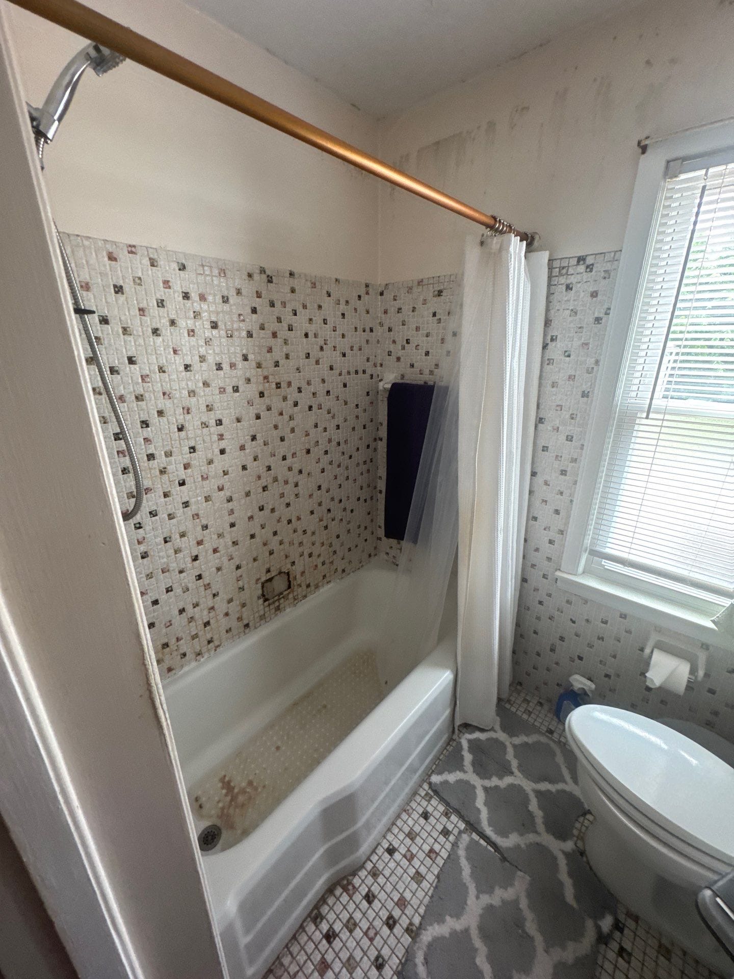 Before Bath Remodel
