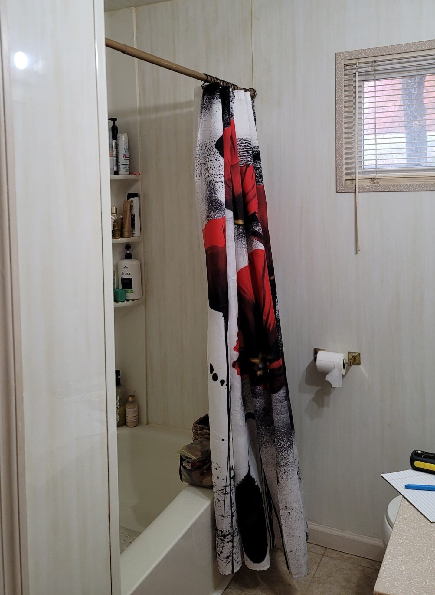 Before Bath Remodel