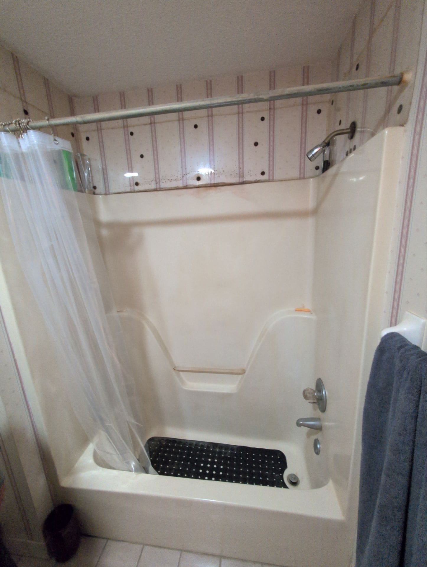 Before Bath Remodel