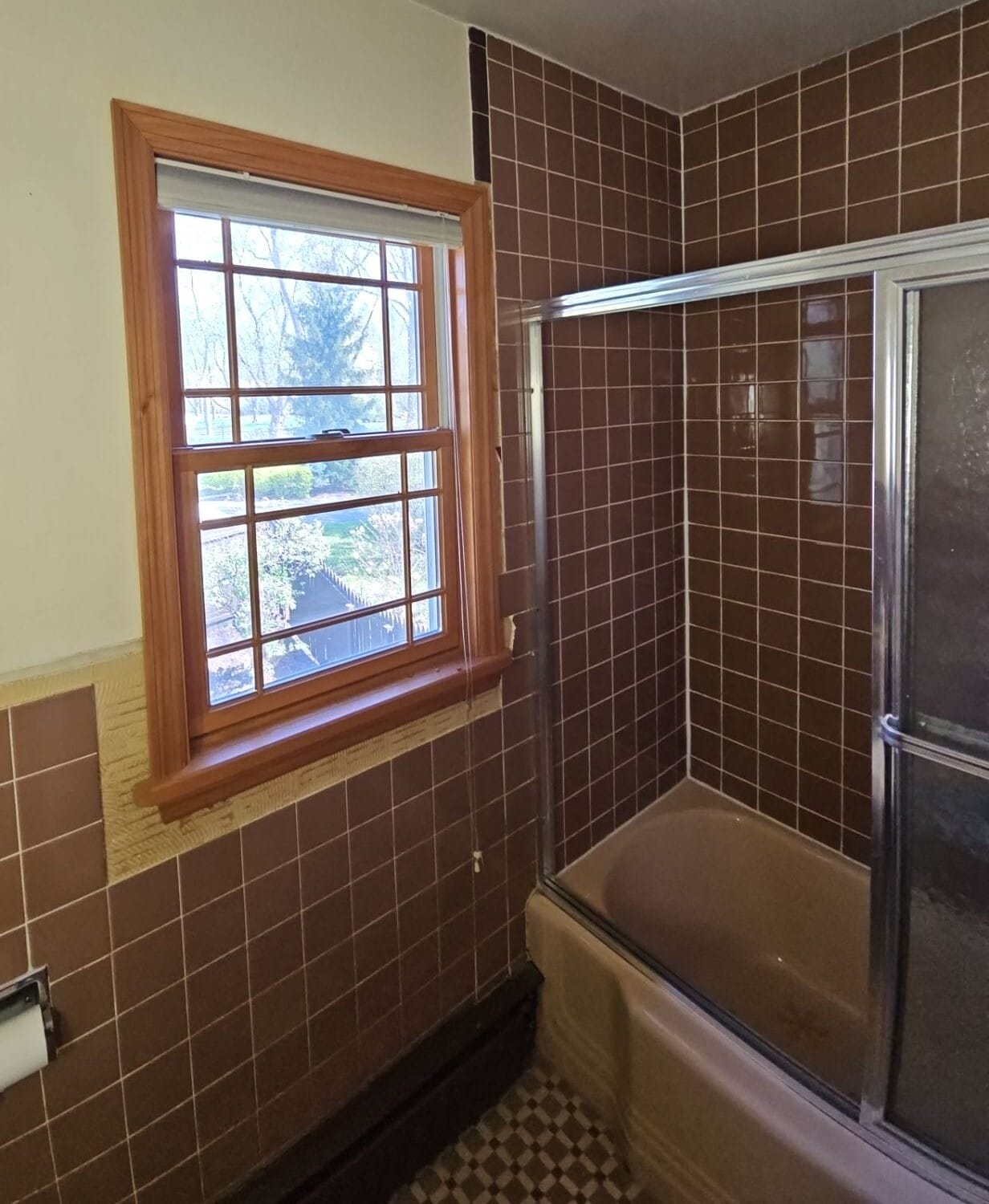 Before Bath Remodel