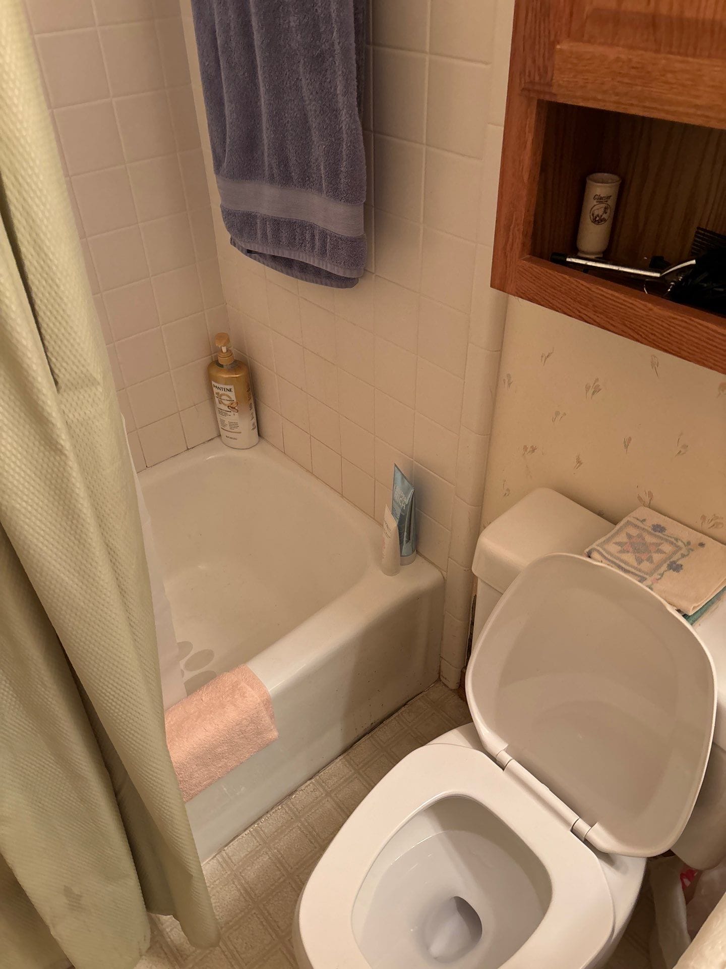 Before Bath Remodel