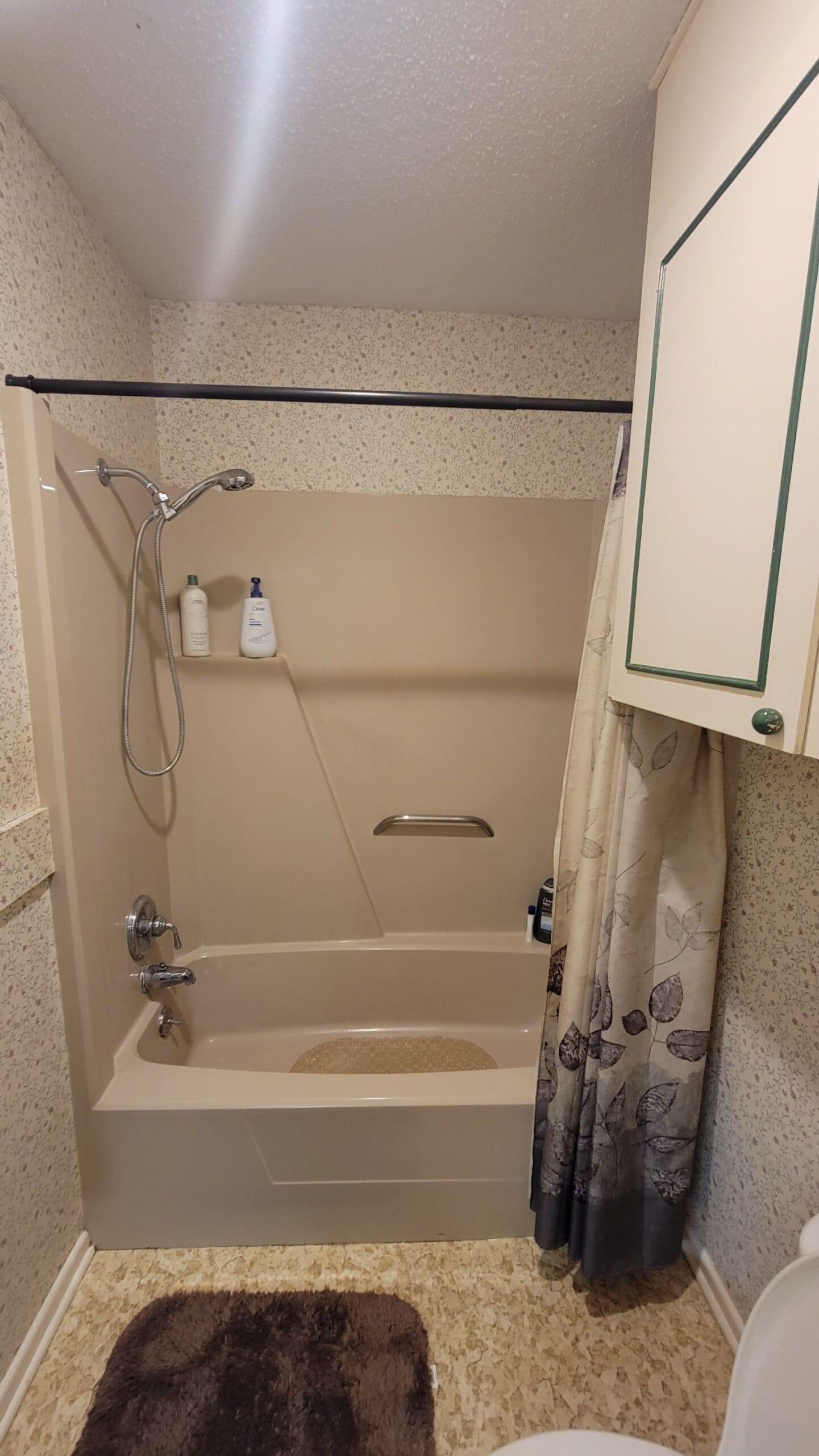Before Bath Remodel