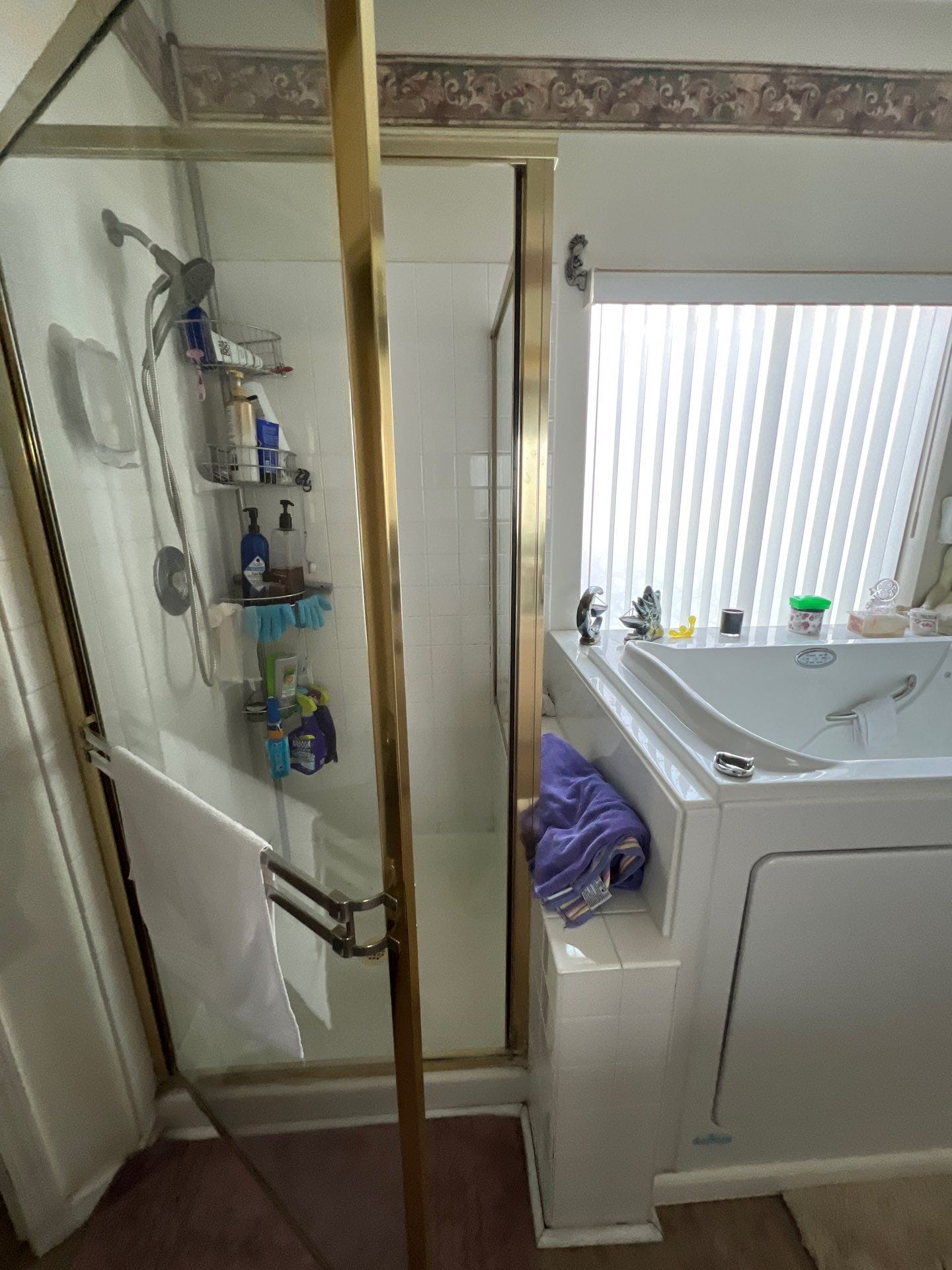 Before Bath Remodel