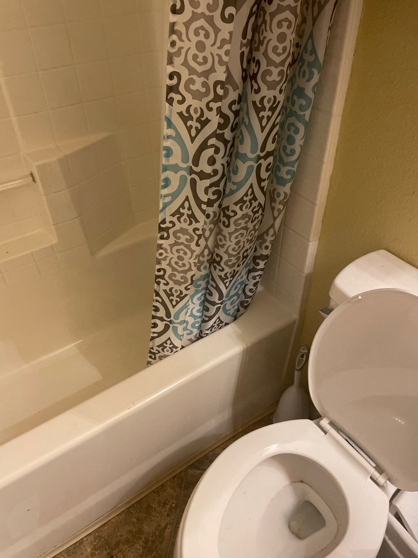 Before Bath Remodel