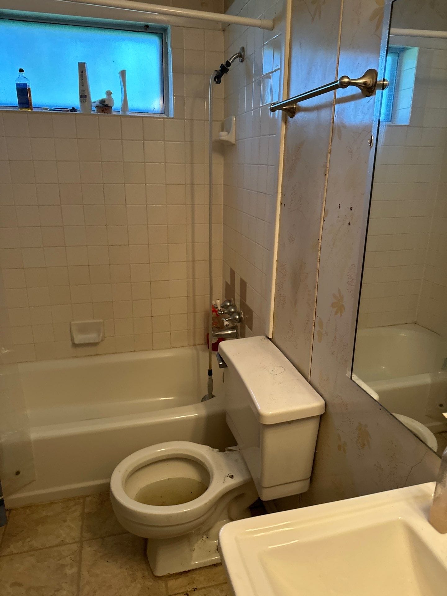 Before Bath Remodel