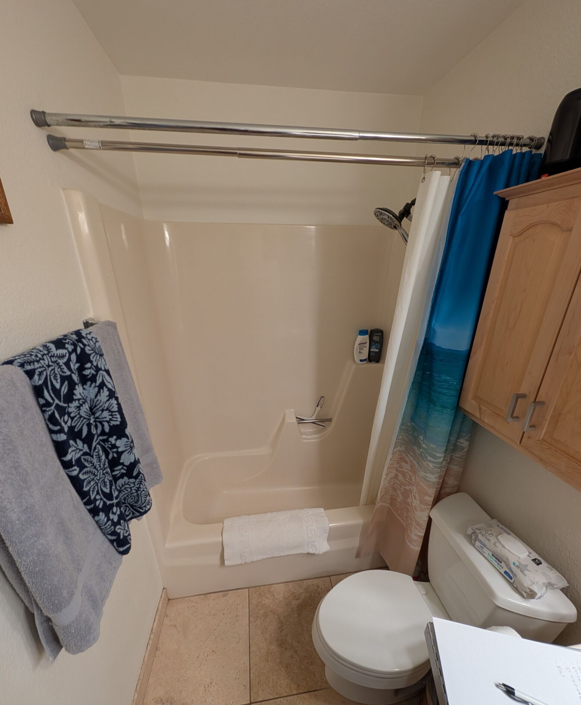 Before Bath Remodel