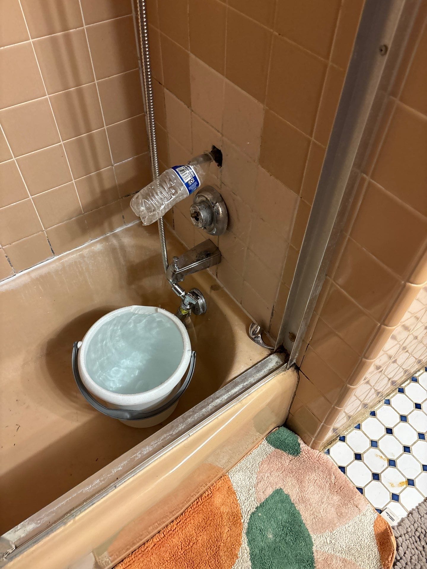 Before Bath Remodel