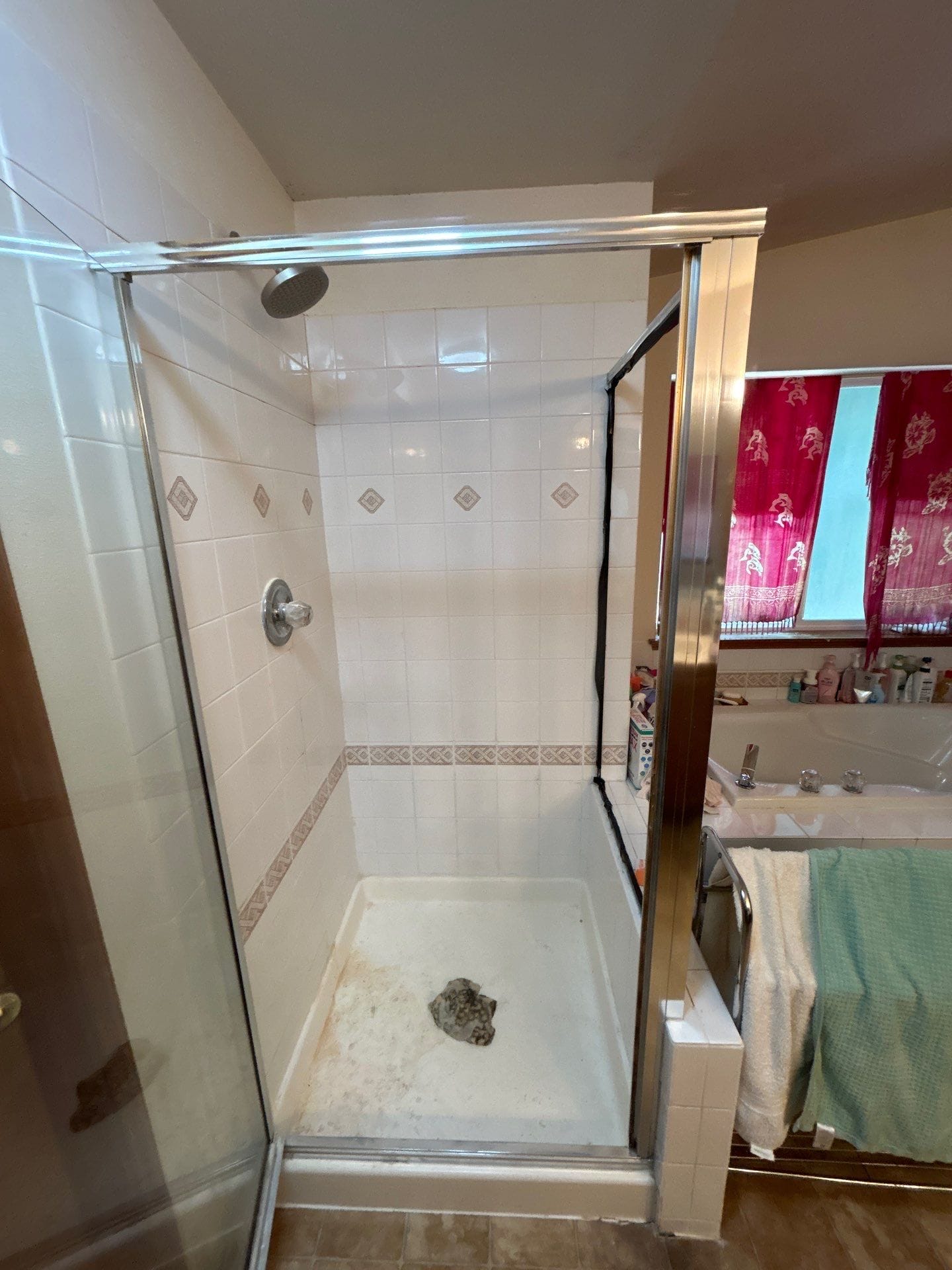 Before Bath Remodel