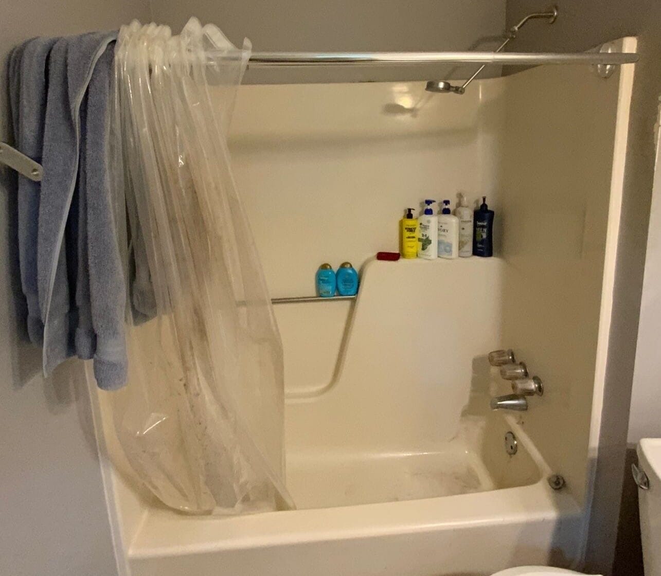 Before Bath Remodel