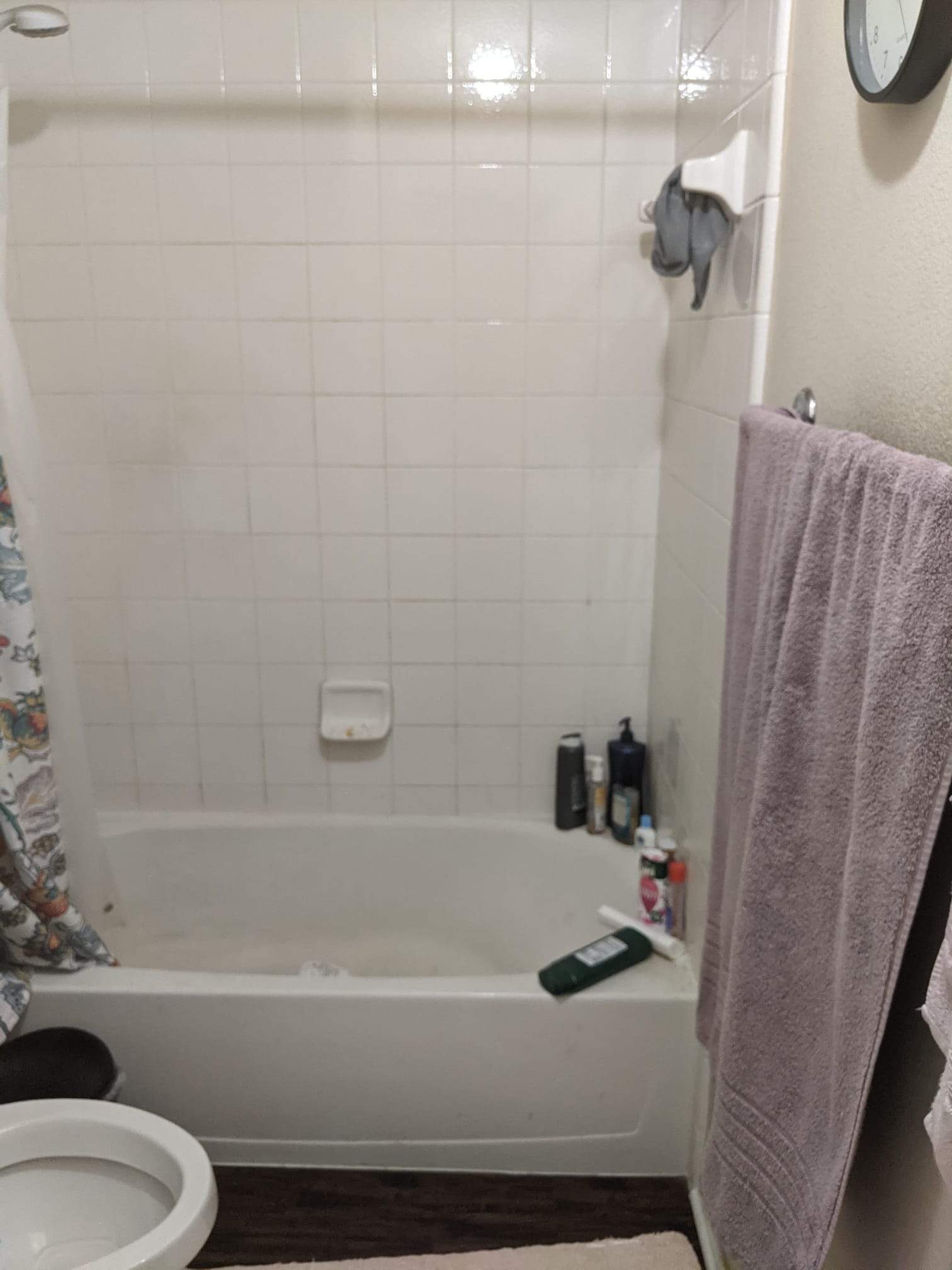 Before Bath Remodel