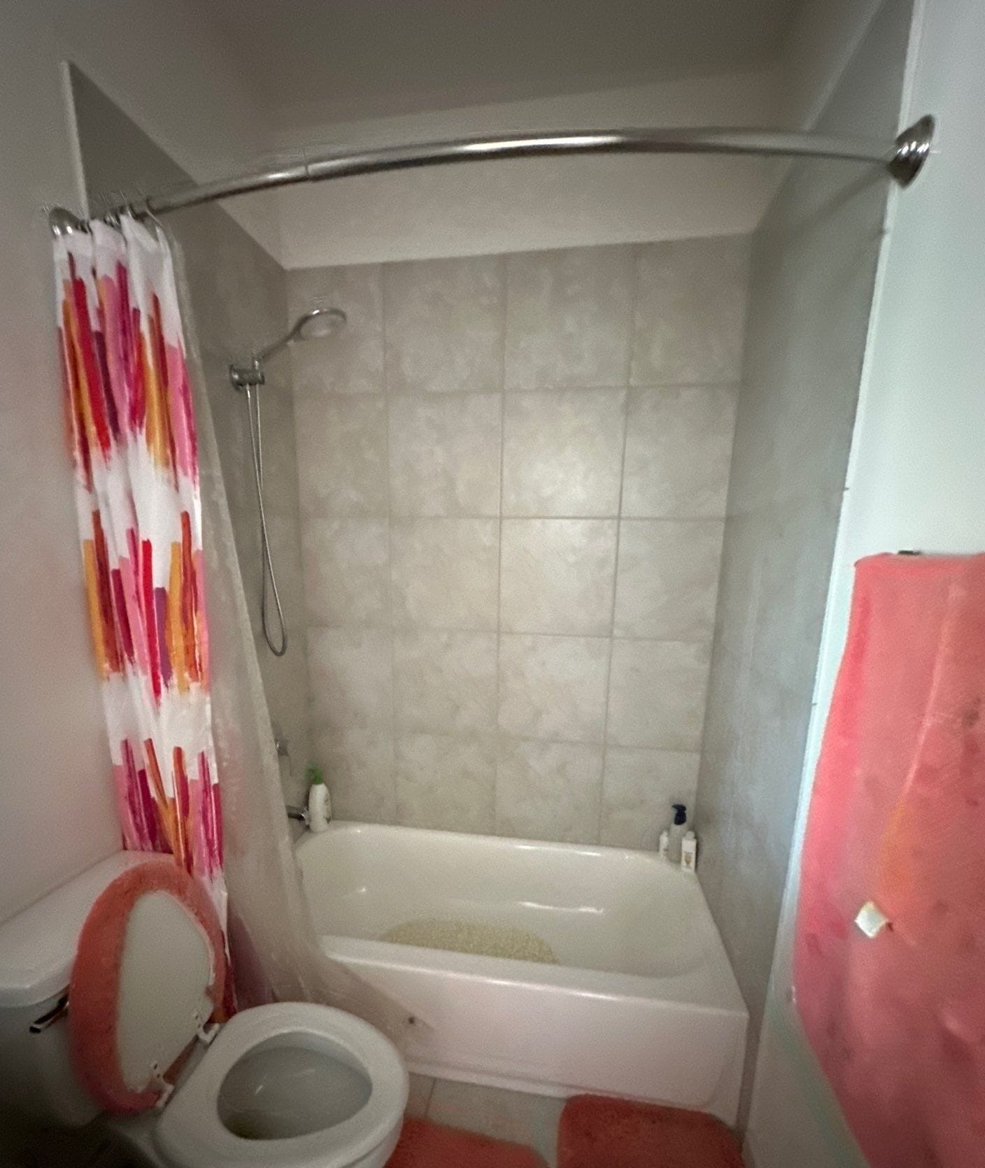 Before Bath Remodel