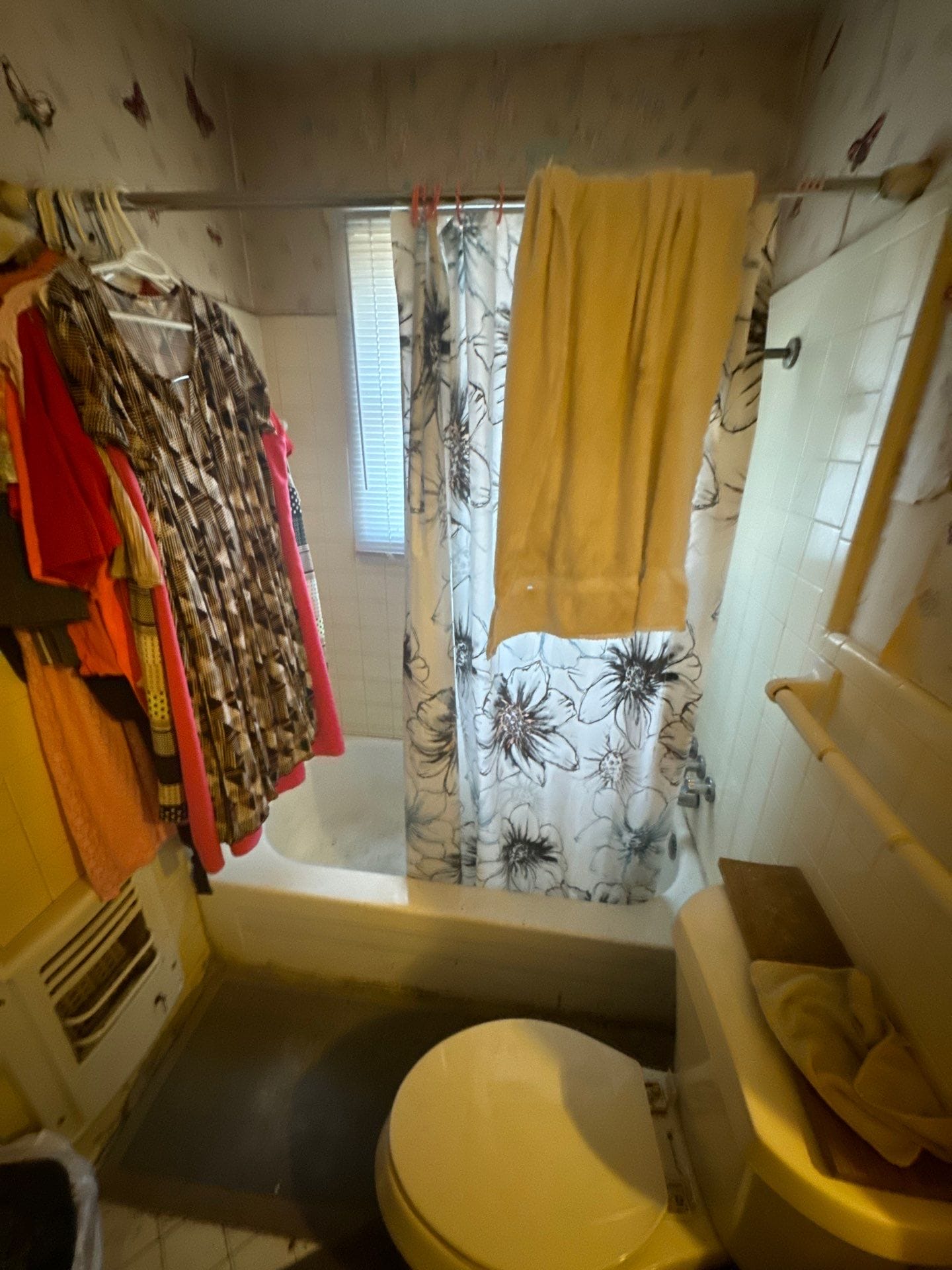Before Bath Remodel