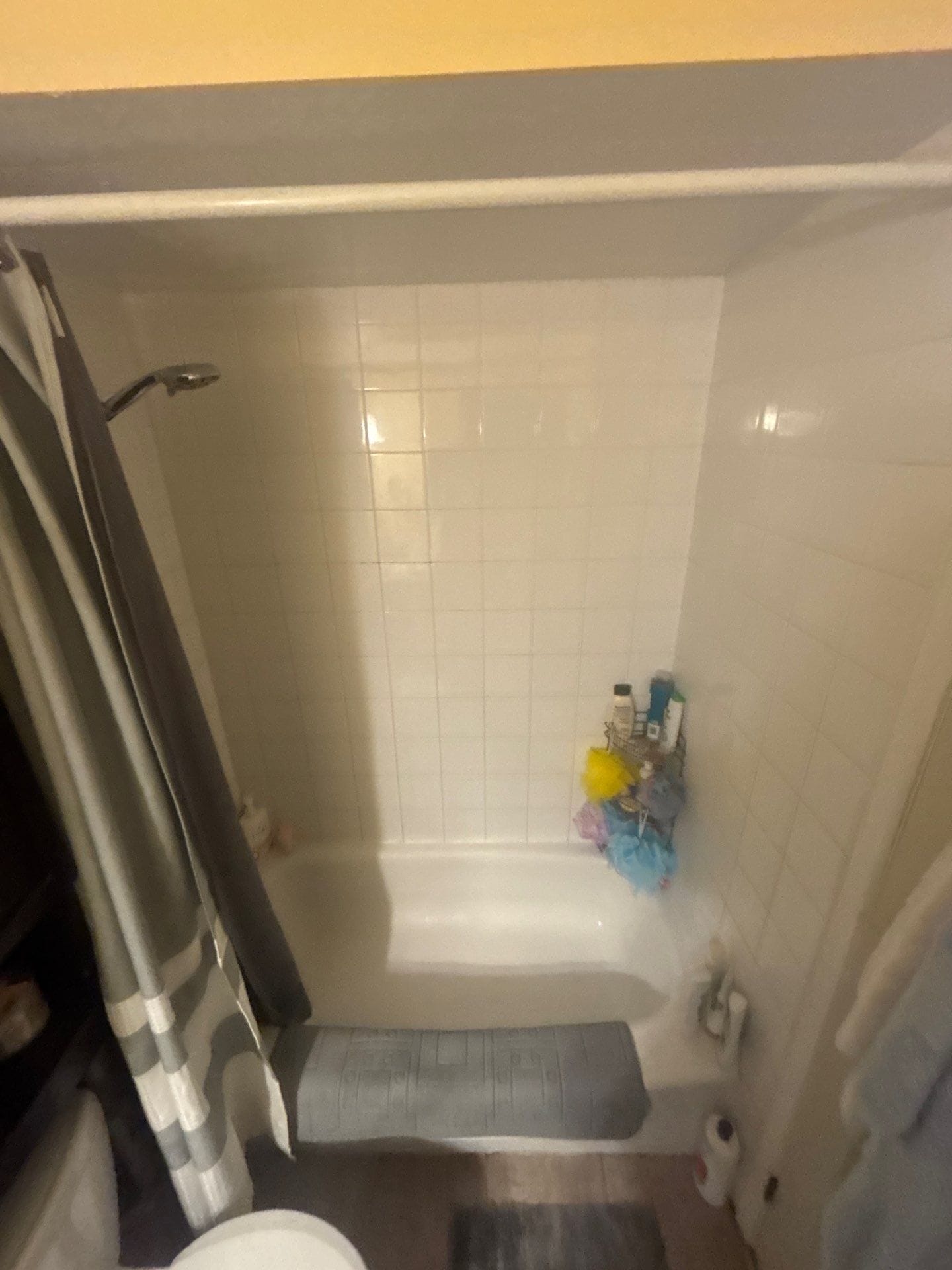 Before Bath Remodel