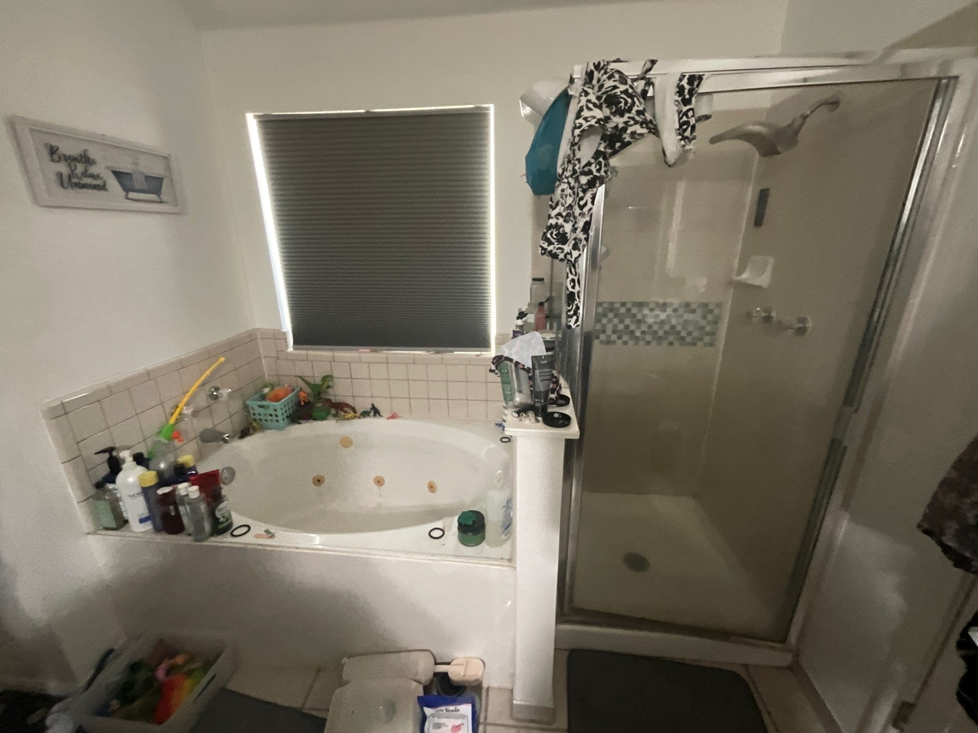 Before Bath Remodel