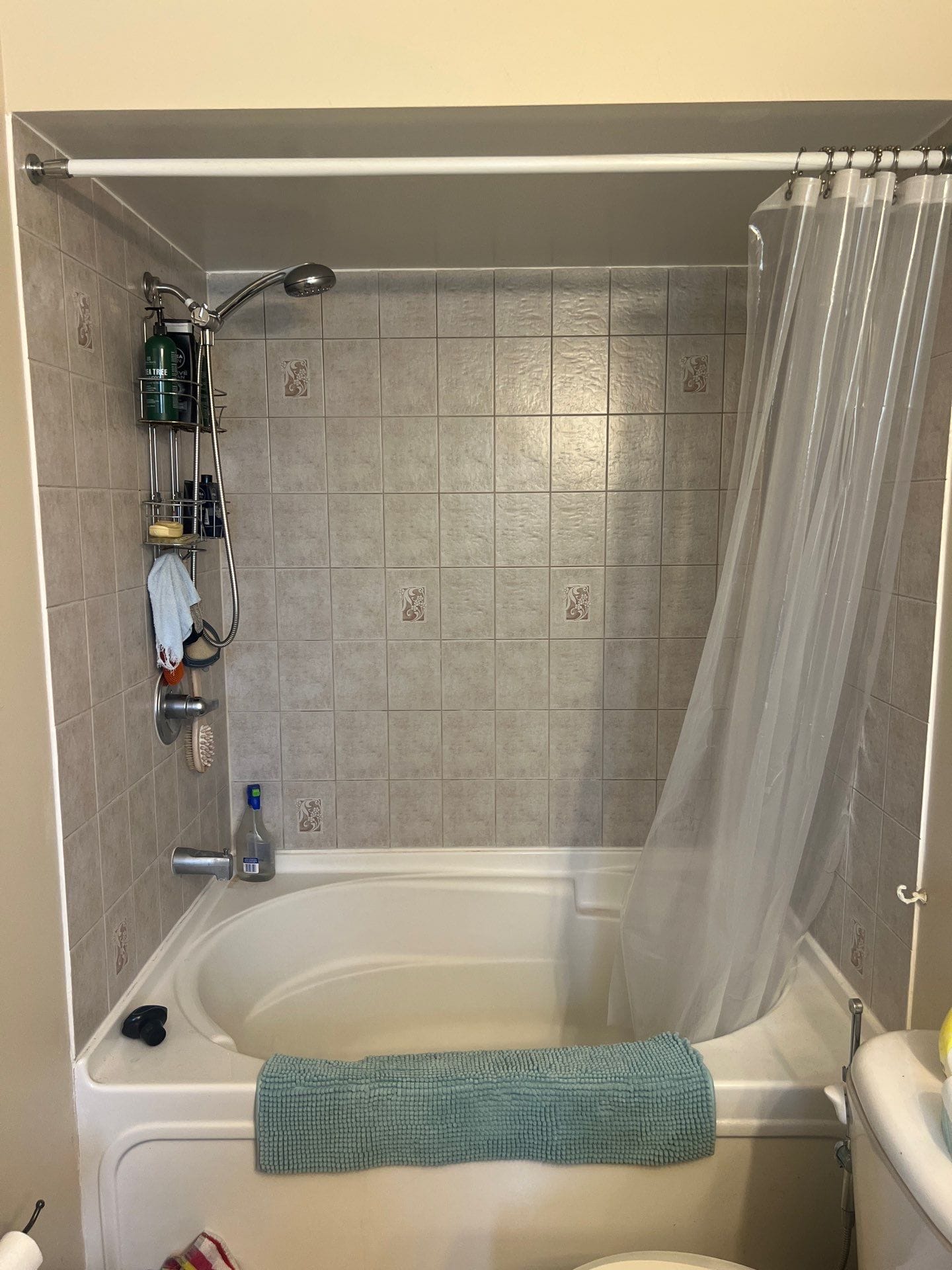 Before Bath Remodel