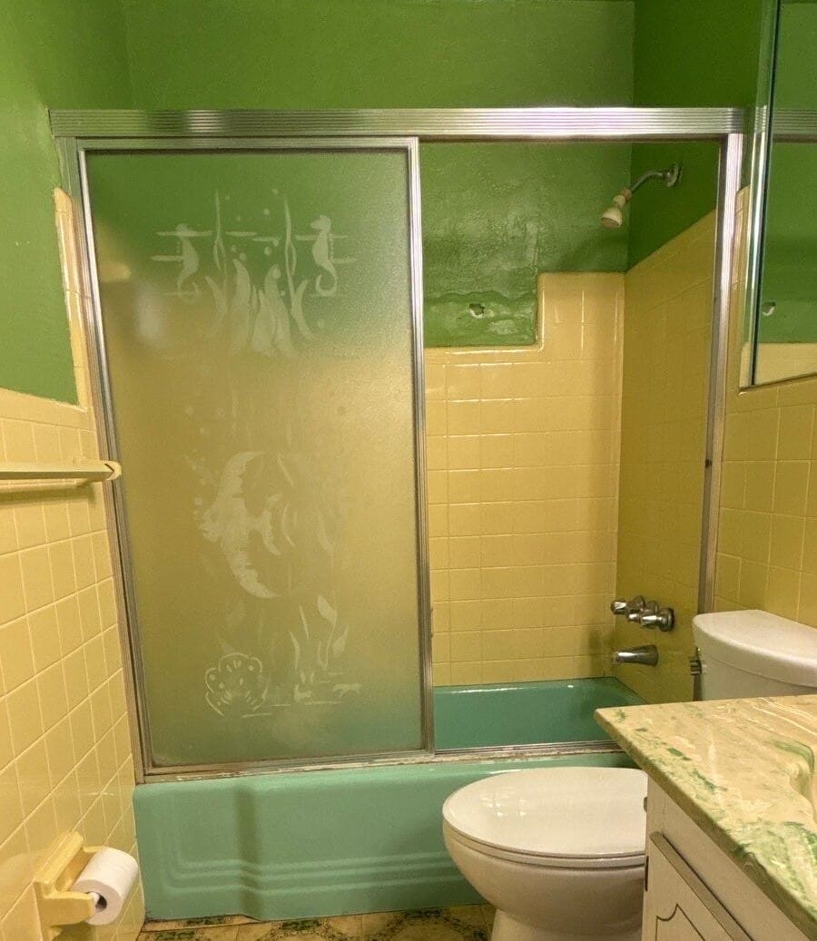 Before Bath Remodel