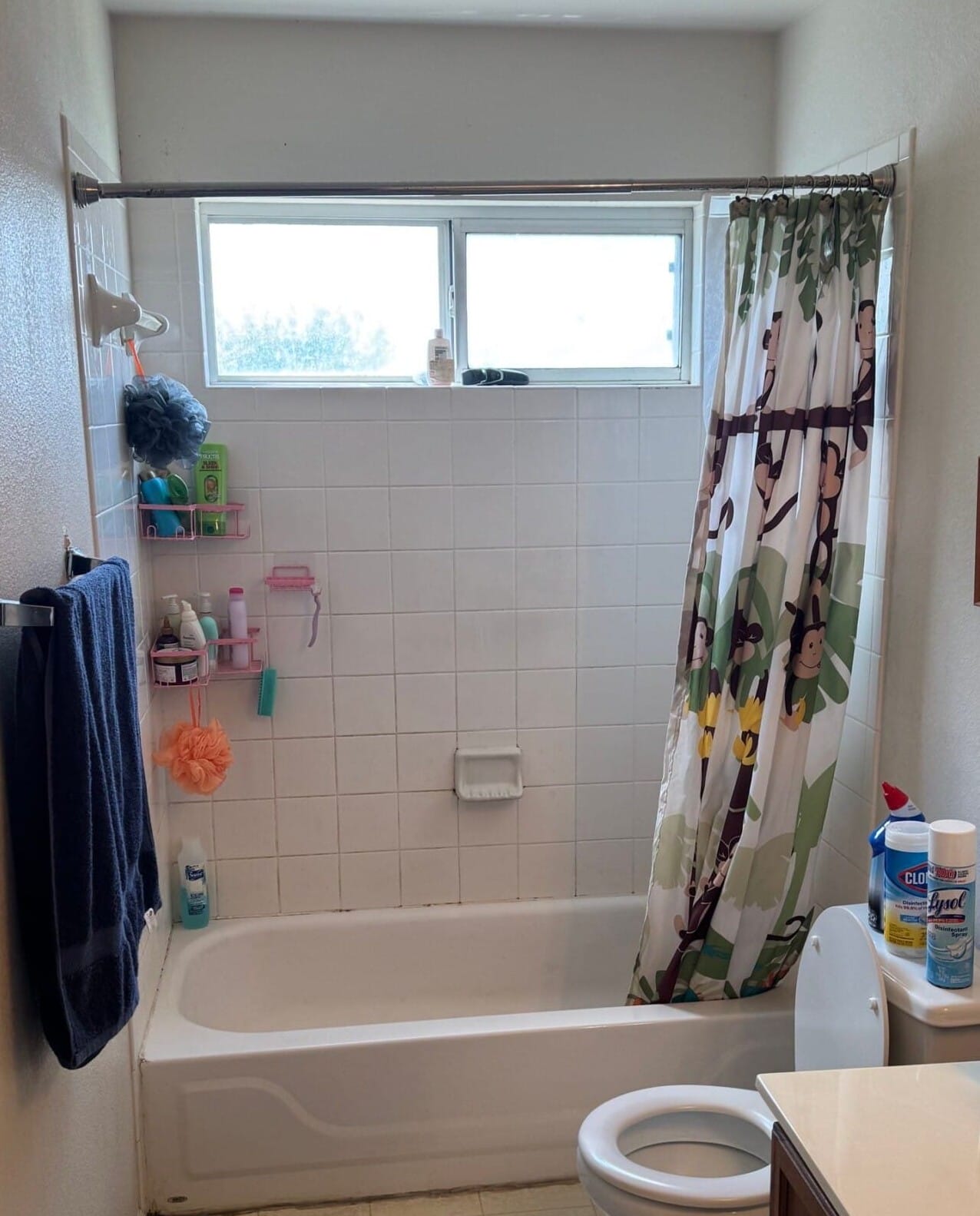 Before Bath Remodel